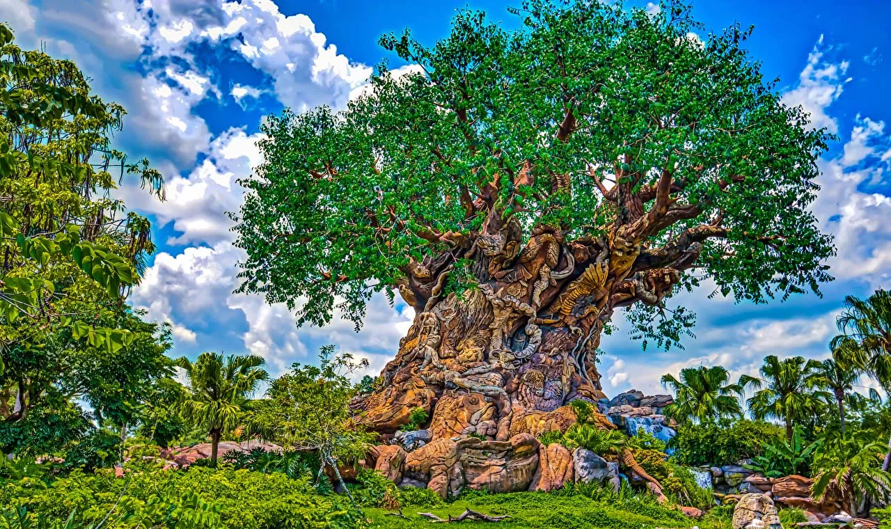 Lưu nháp tự động