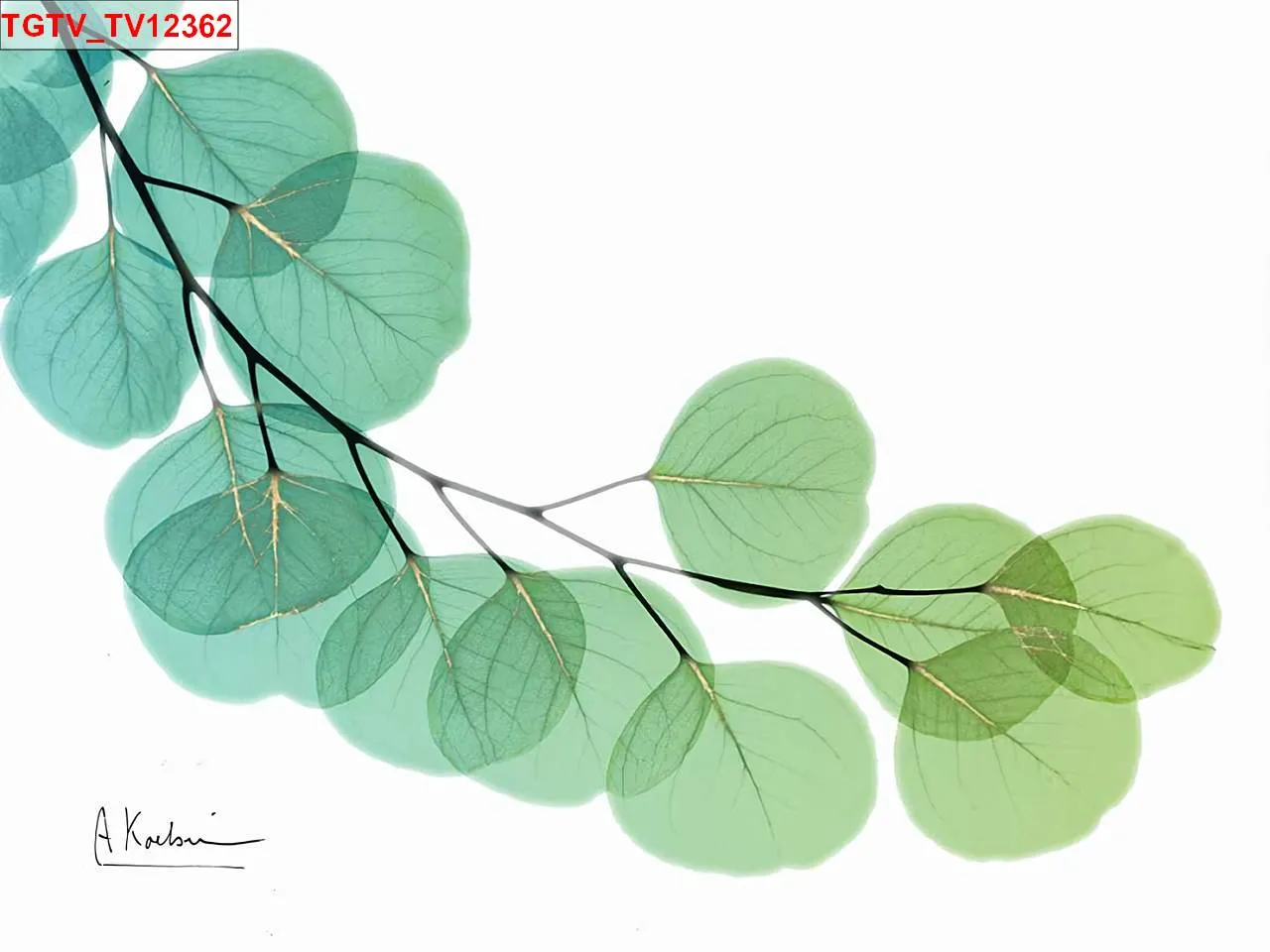 Lưu nháp tự động