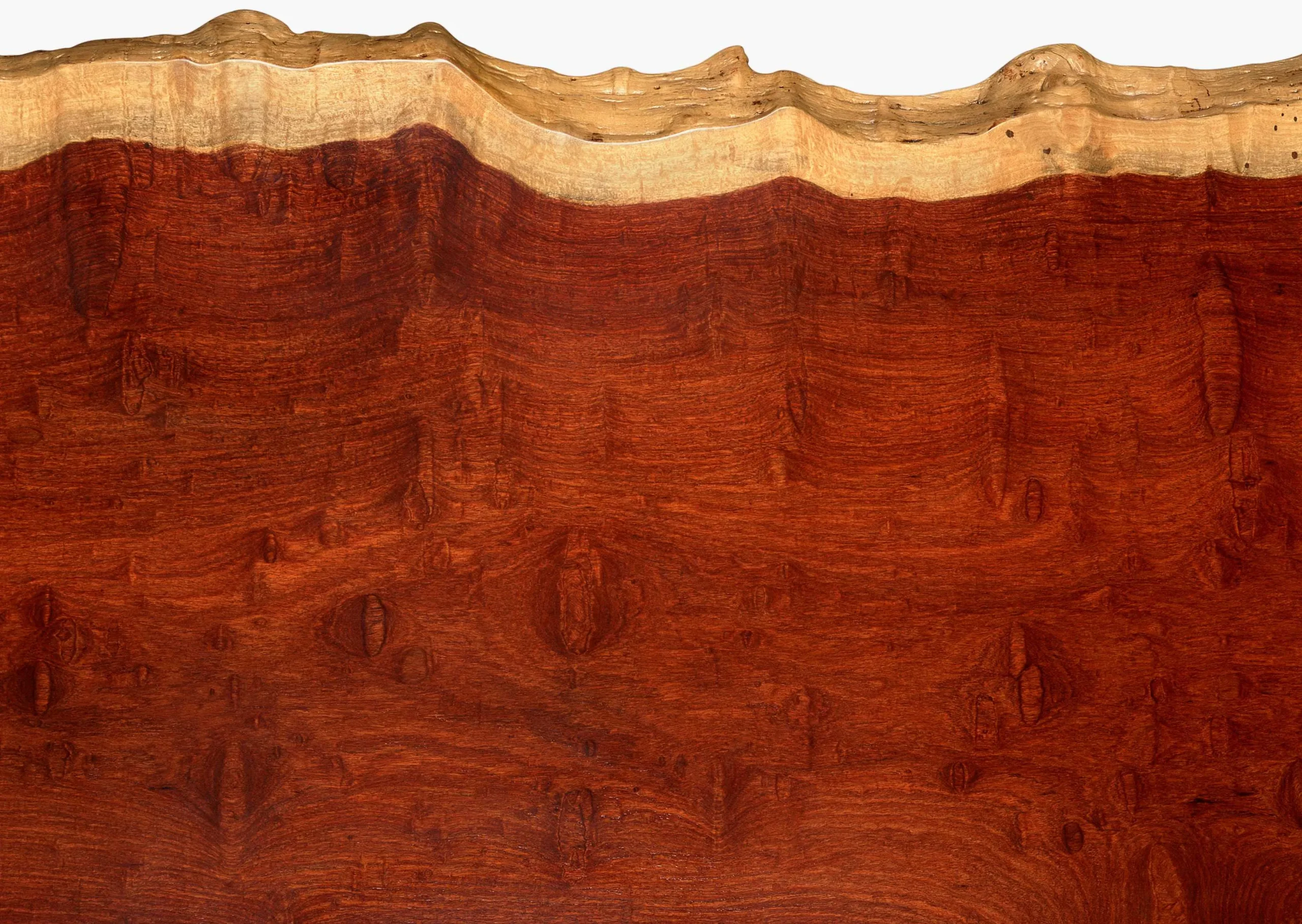 Lưu nháp tự động