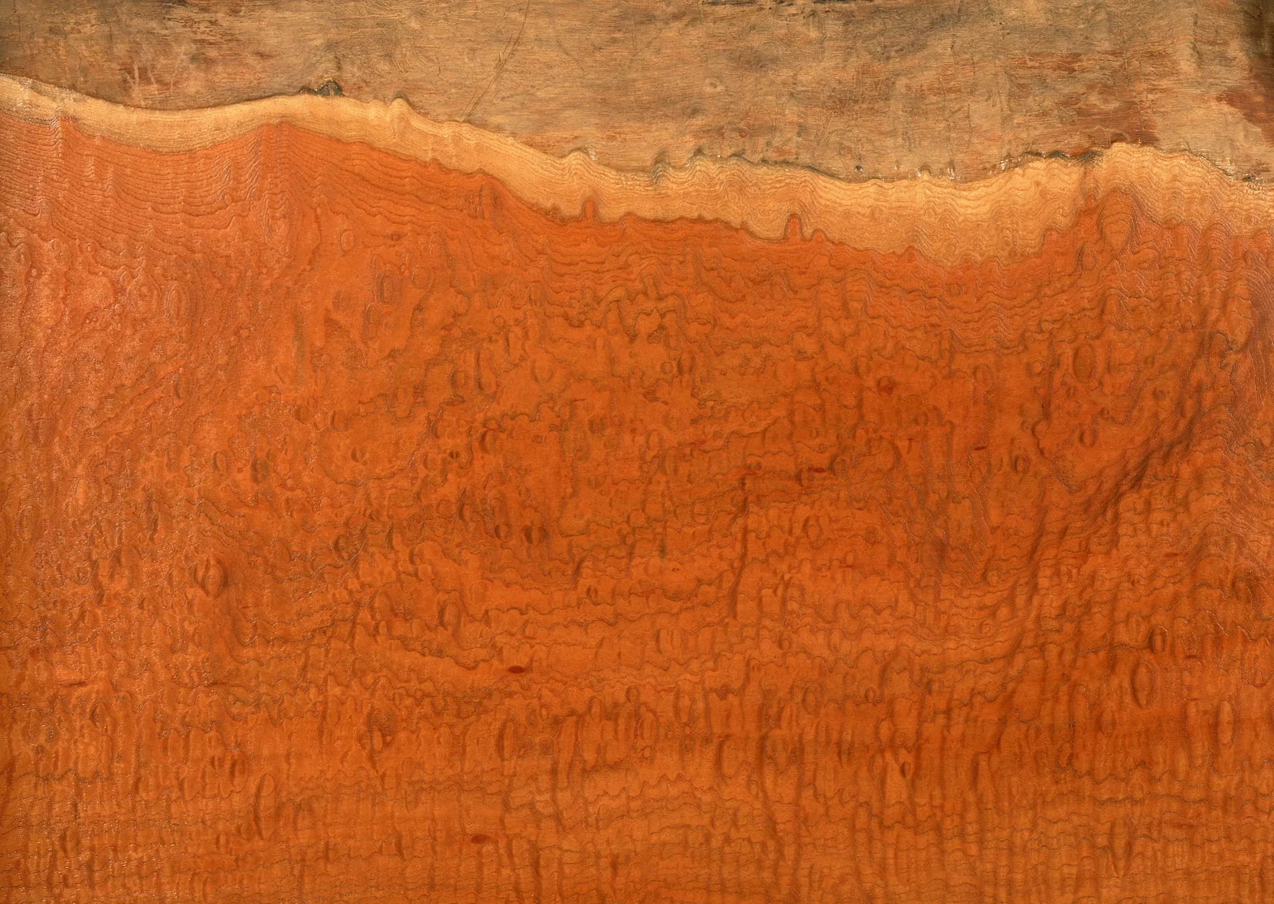 Lưu nháp tự động