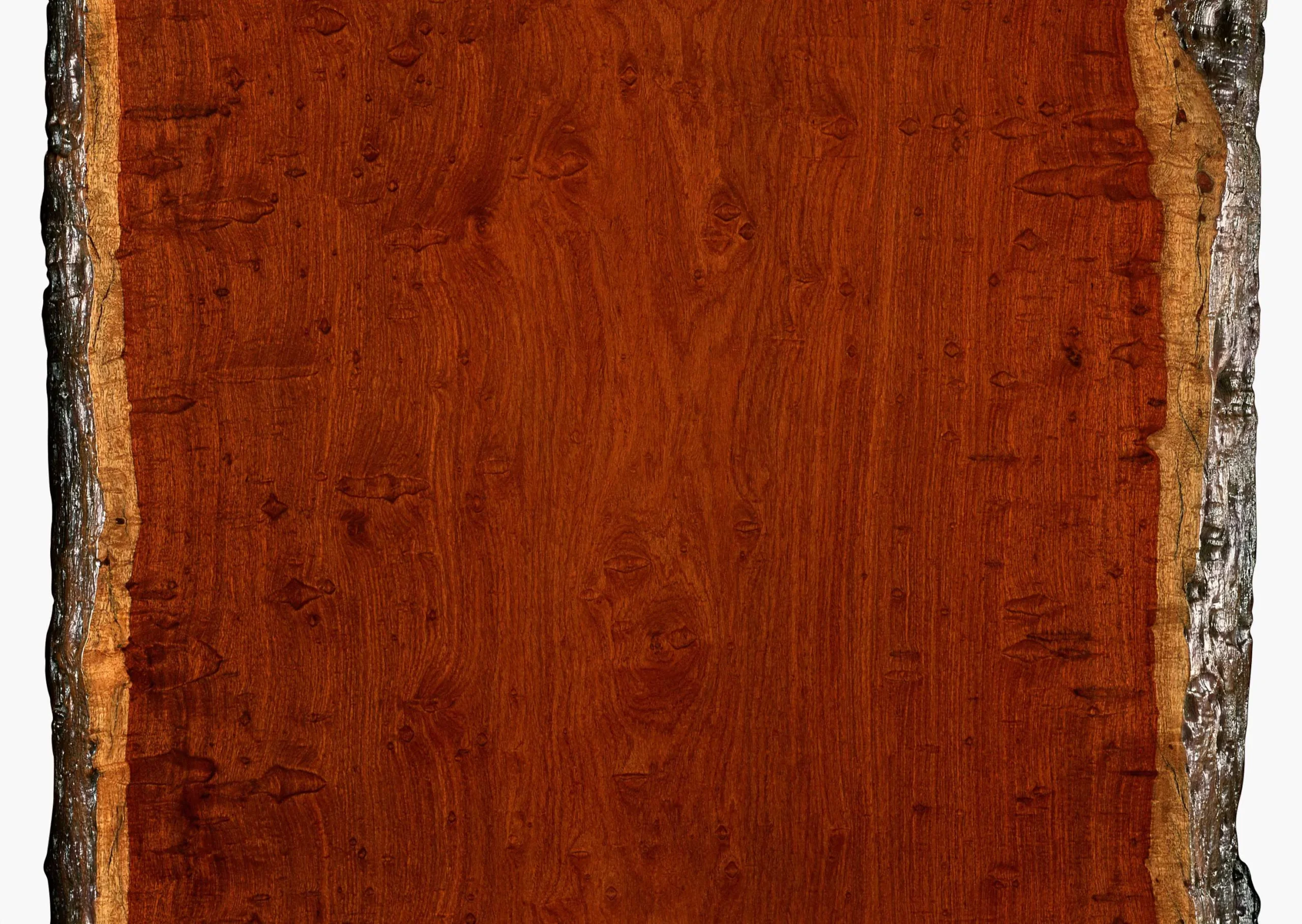 Lưu nháp tự động