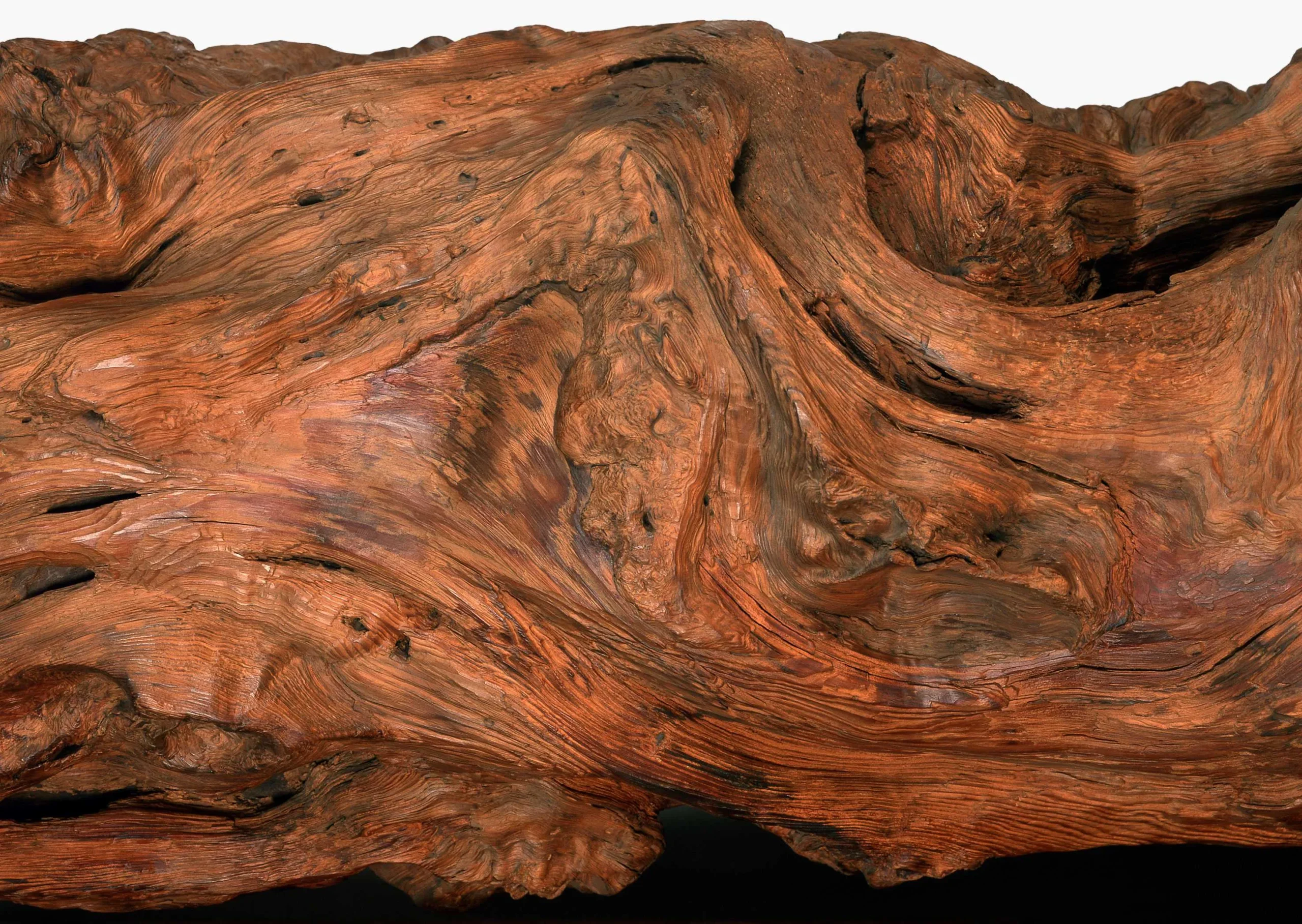 Lưu nháp tự động