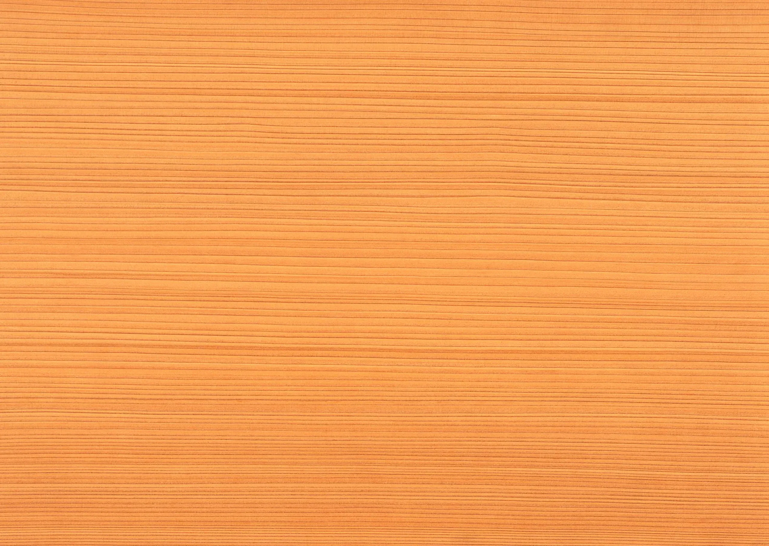 Lưu nháp tự động