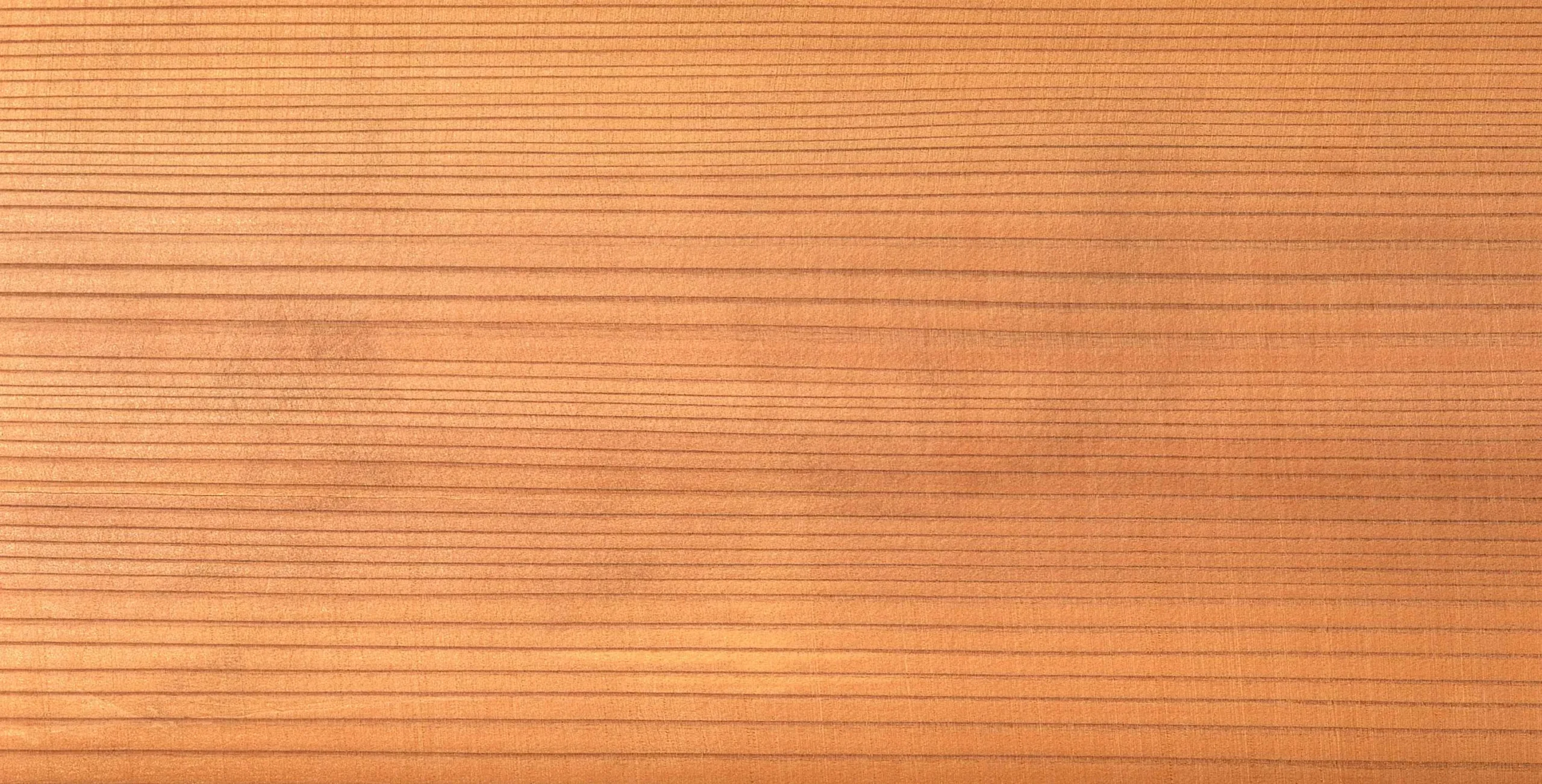 Lưu nháp tự động