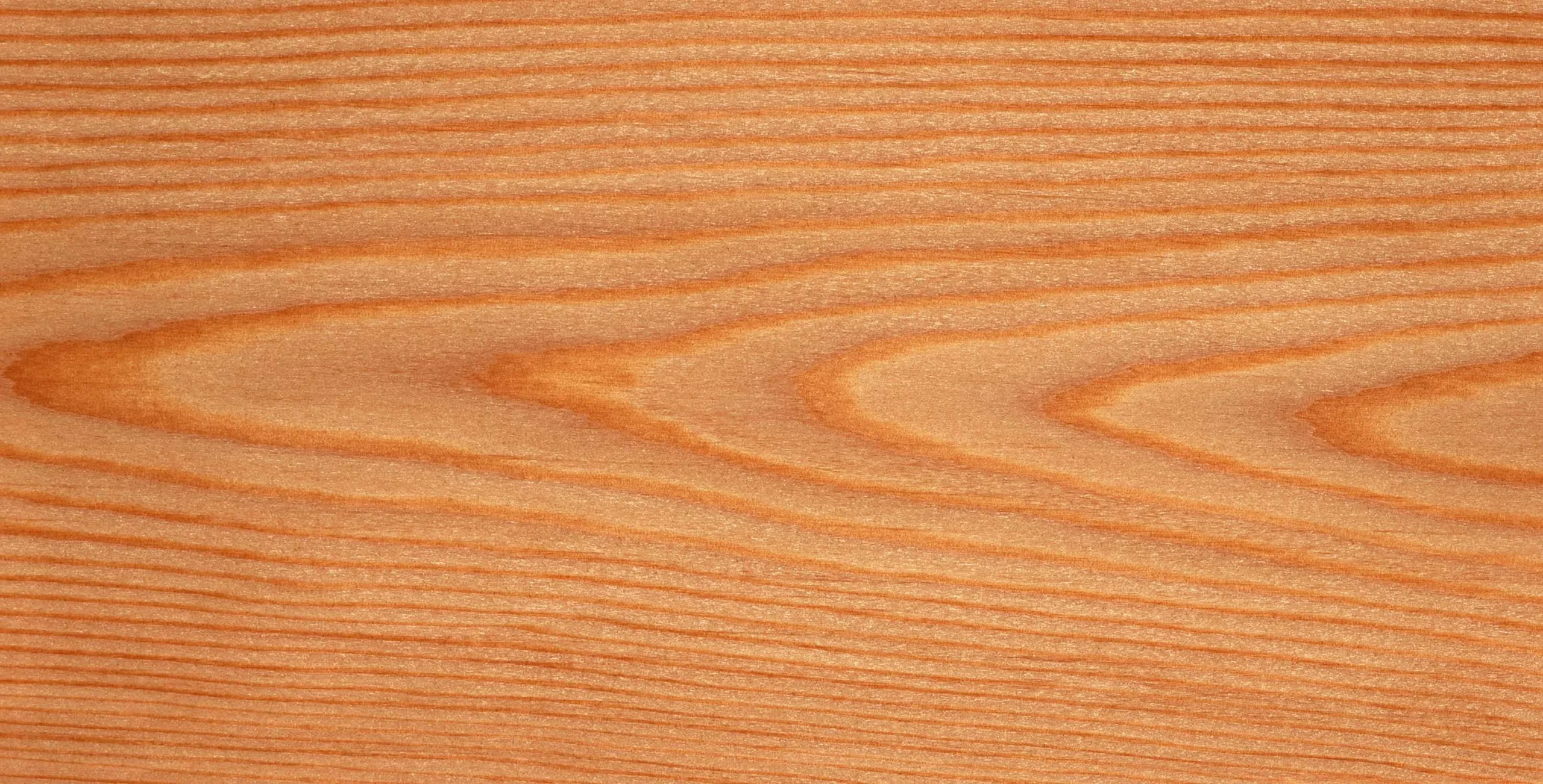 Lưu nháp tự động