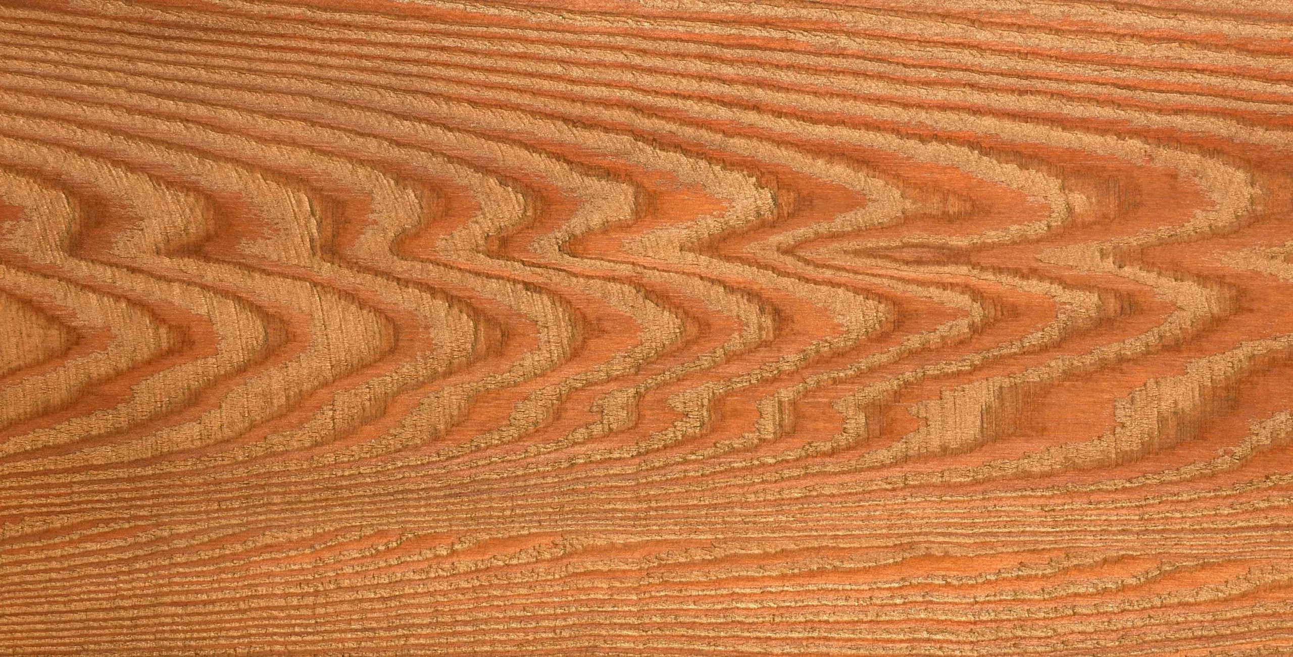 Lưu nháp tự động