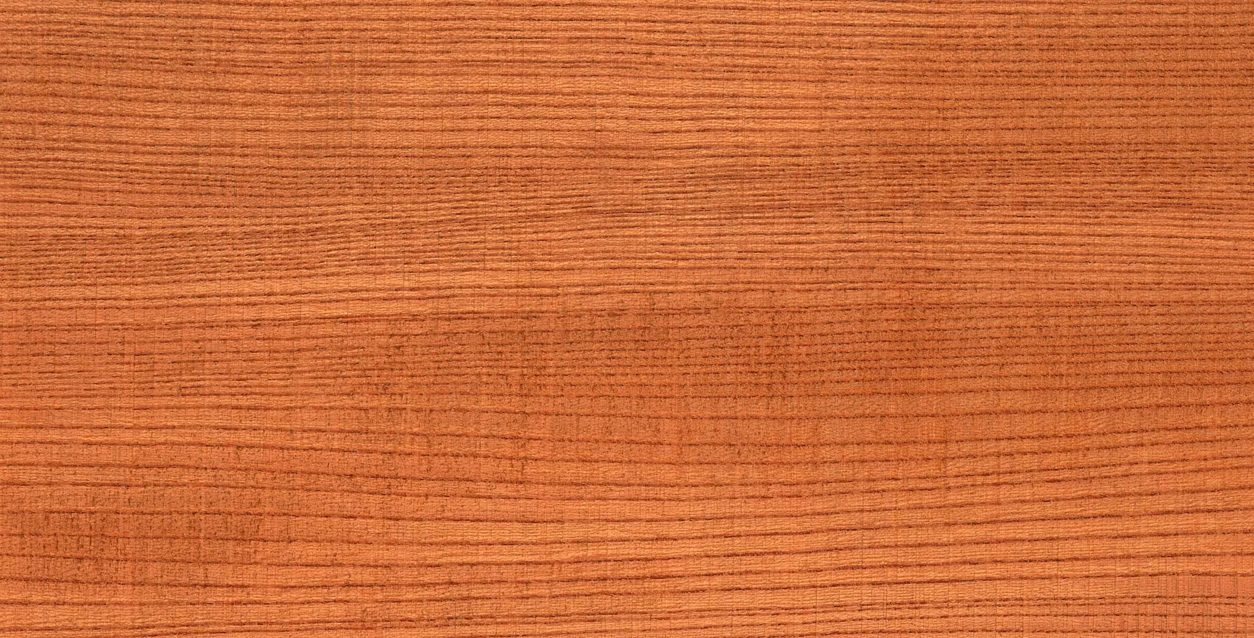 Lưu nháp tự động