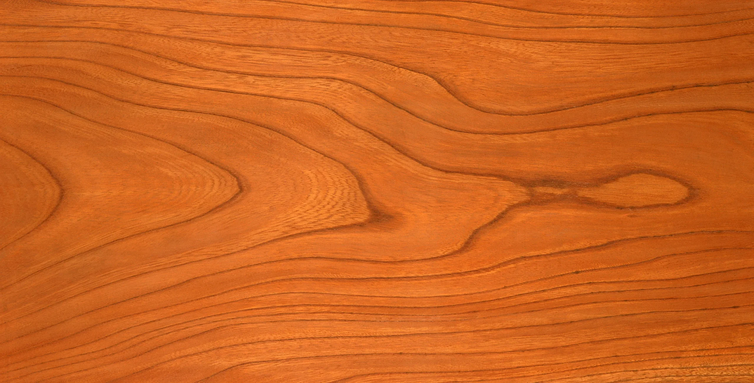 Lưu nháp tự động