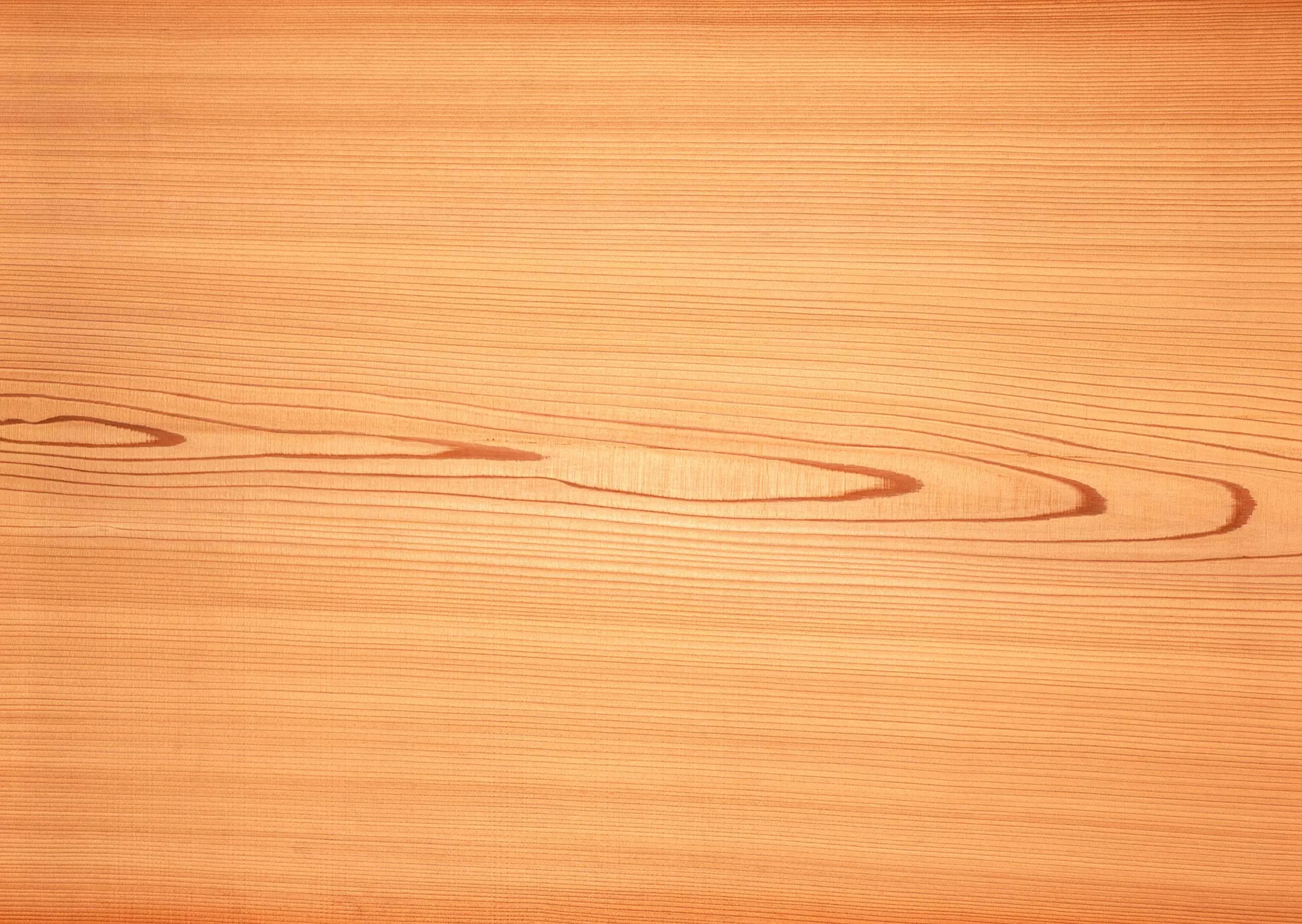 Lưu nháp tự động