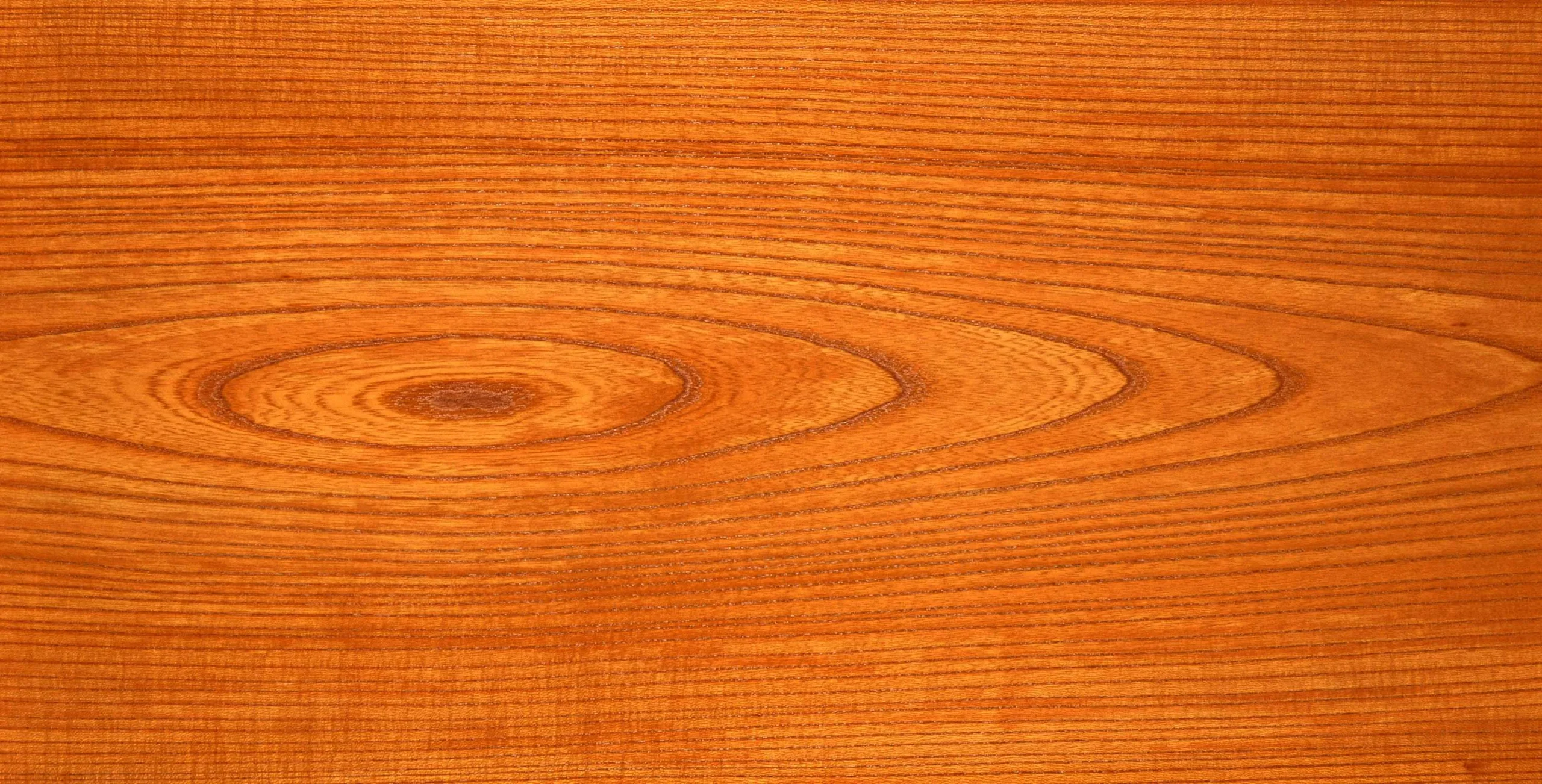 Lưu nháp tự động