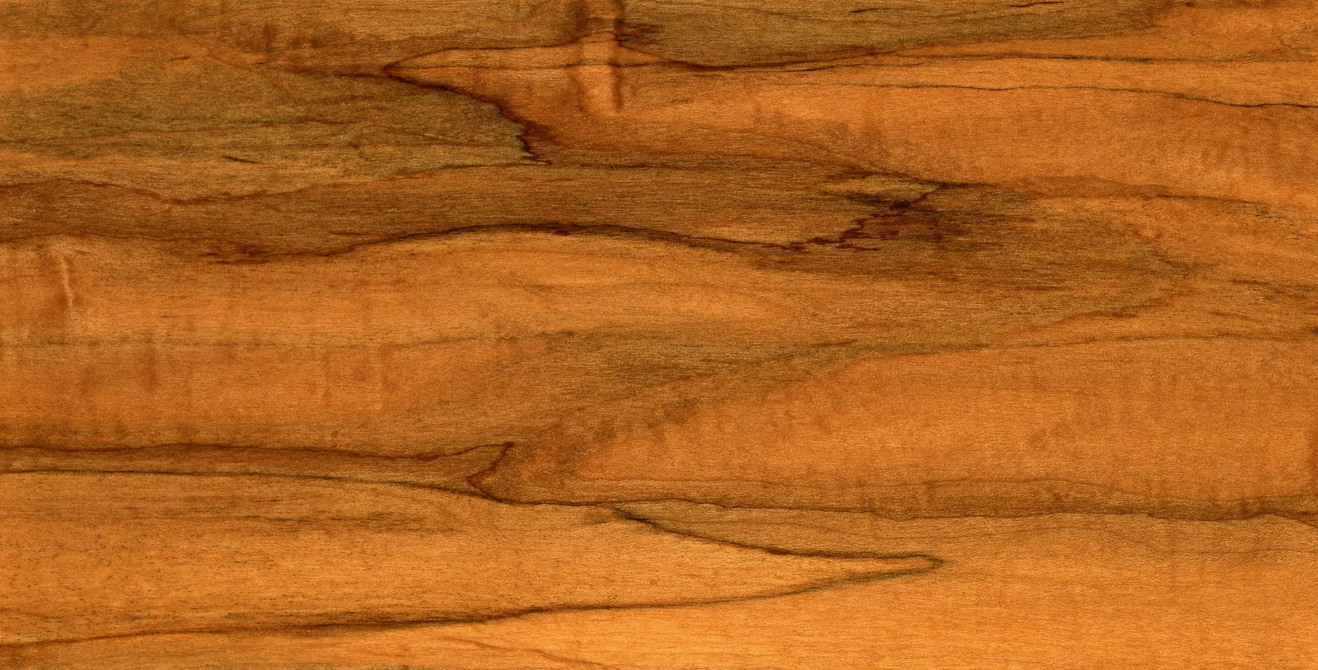 Lưu nháp tự động