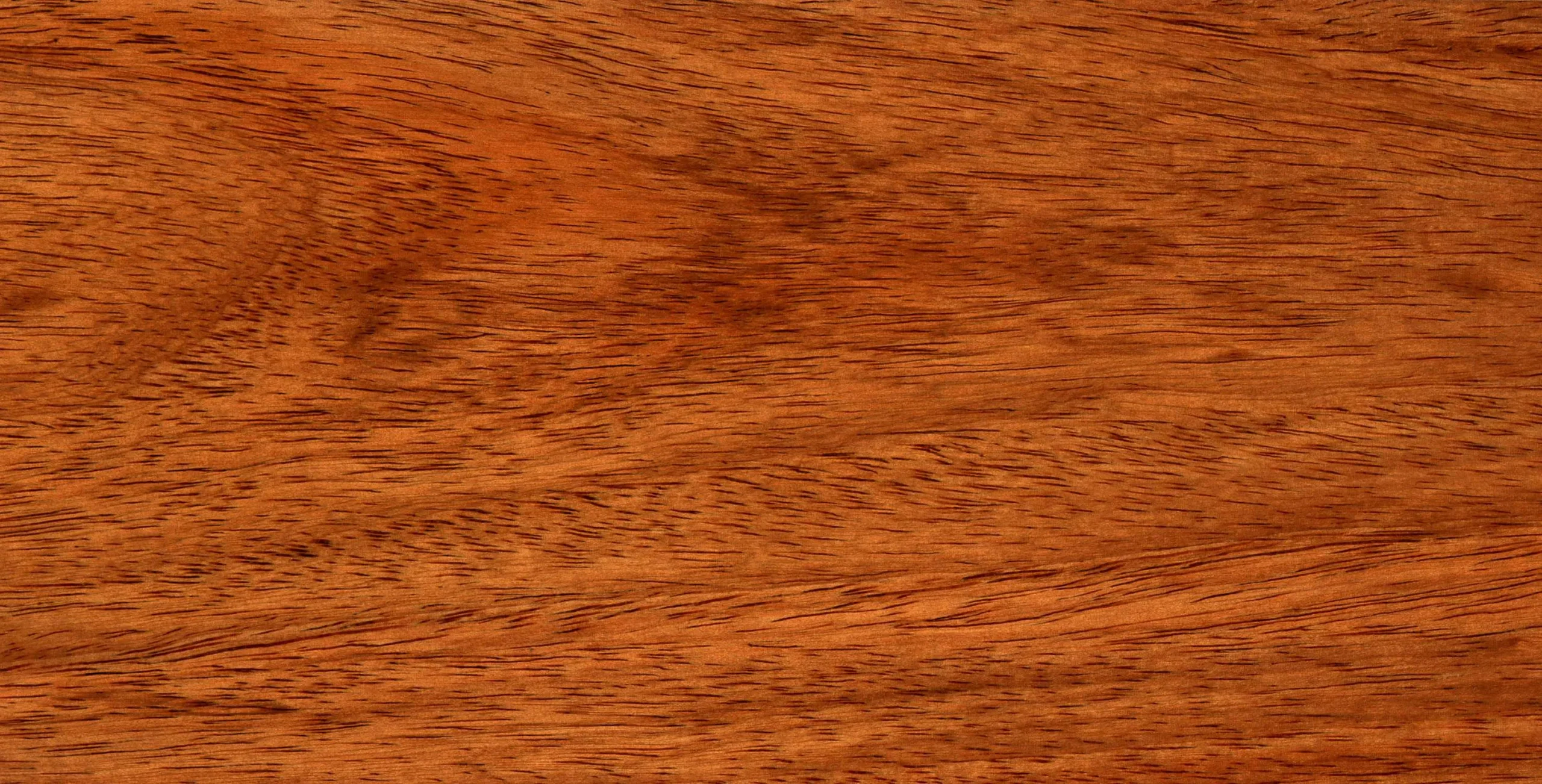 Lưu nháp tự động