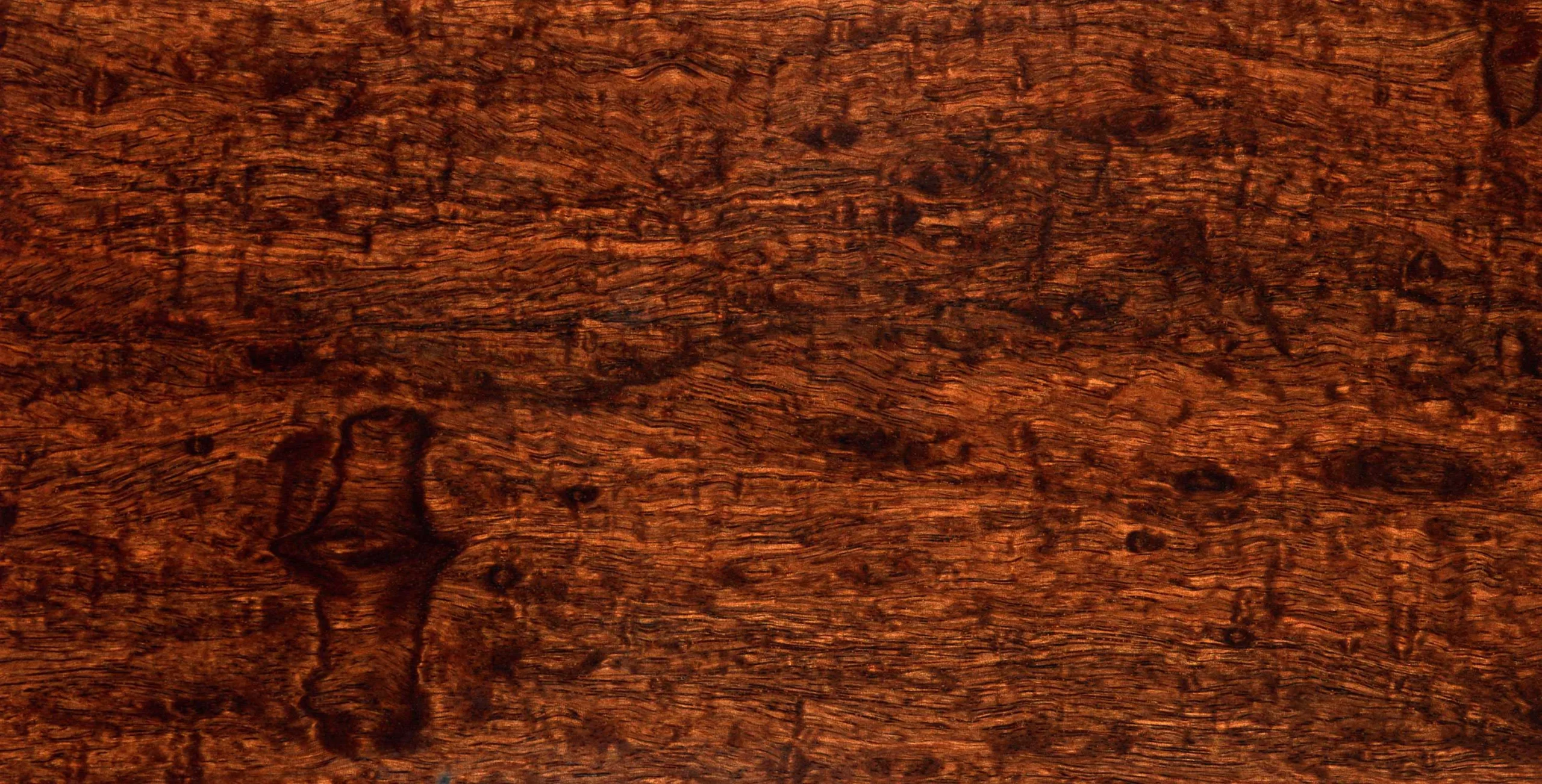 Lưu nháp tự động