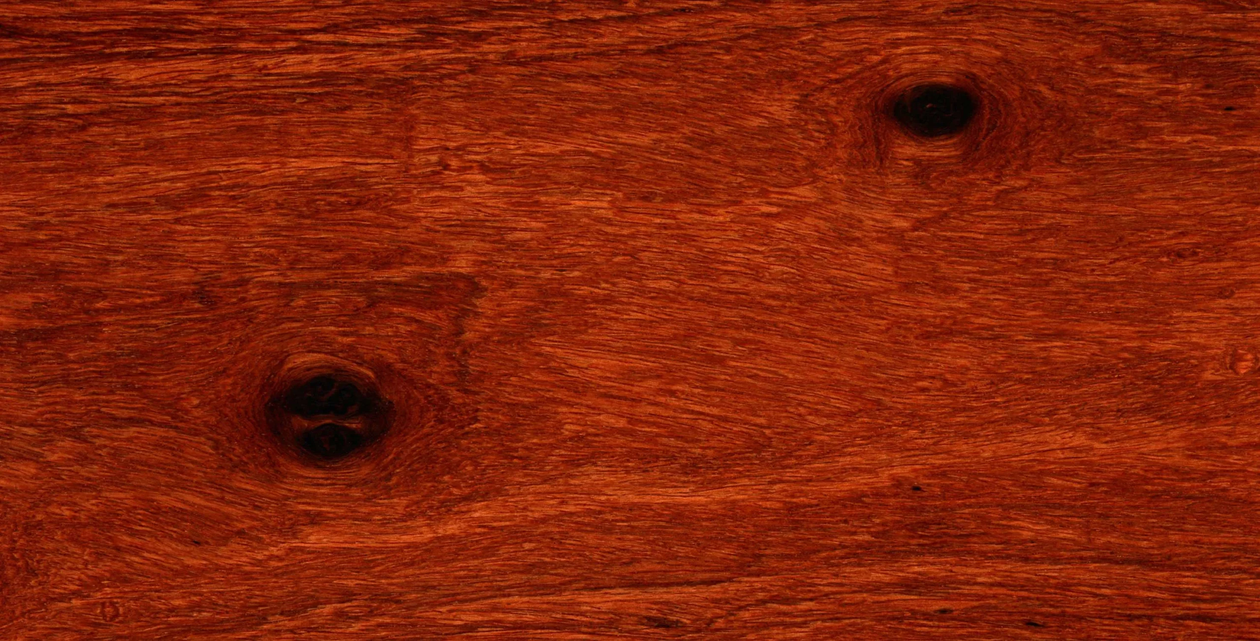 Lưu nháp tự động