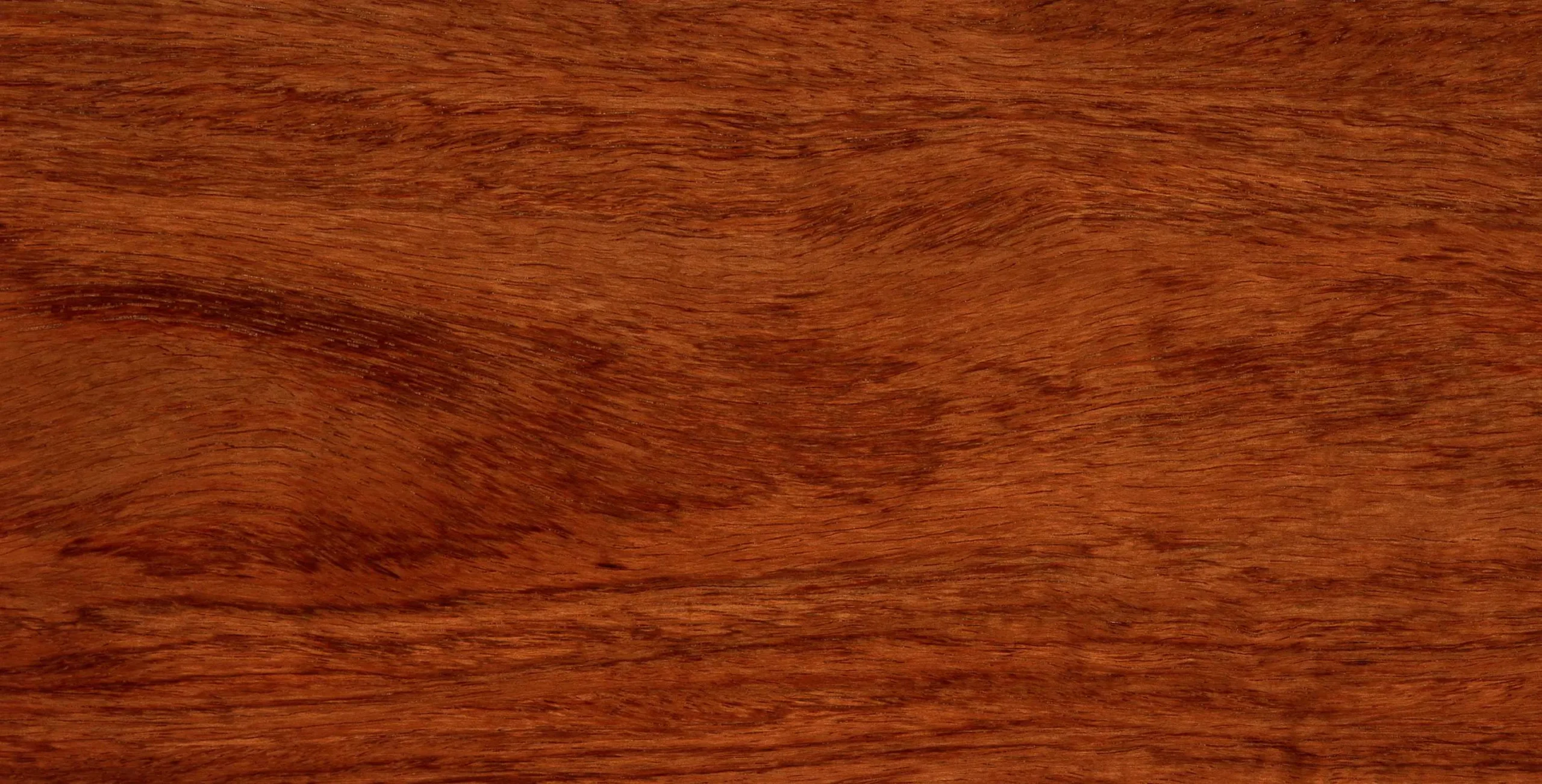 Lưu nháp tự động