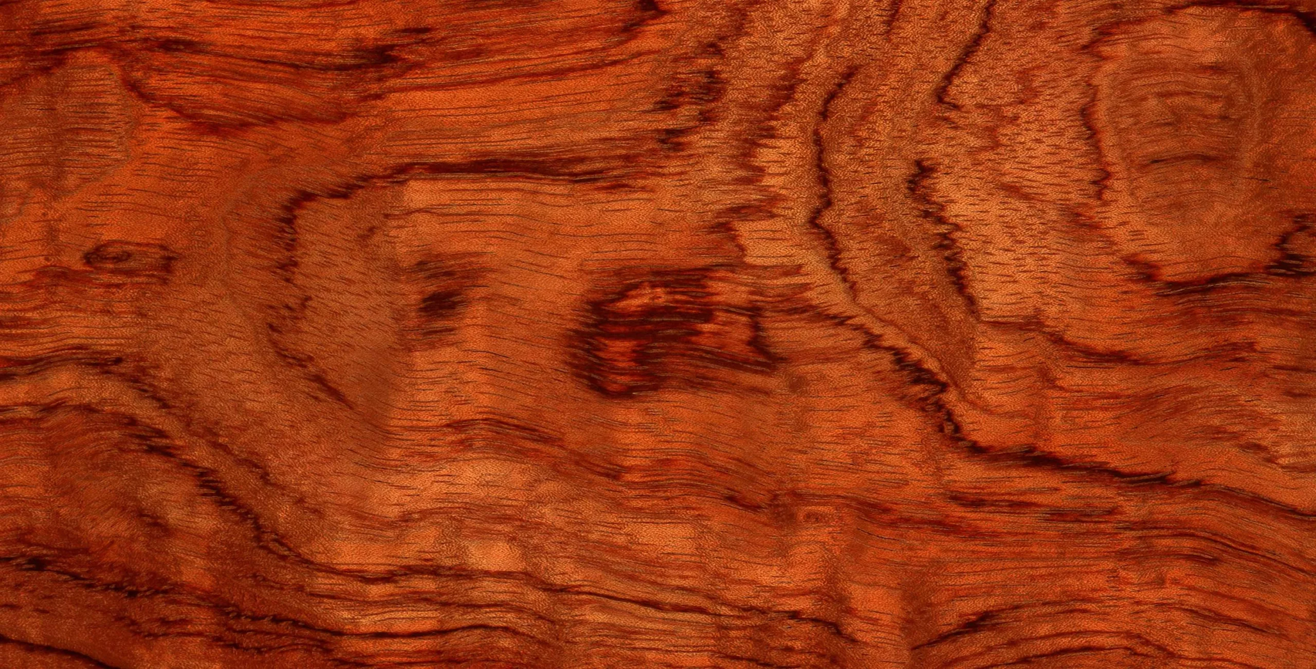 Lưu nháp tự động