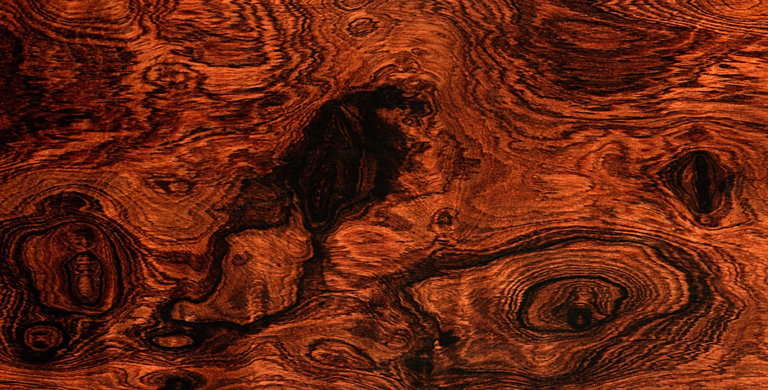 Lưu nháp tự động