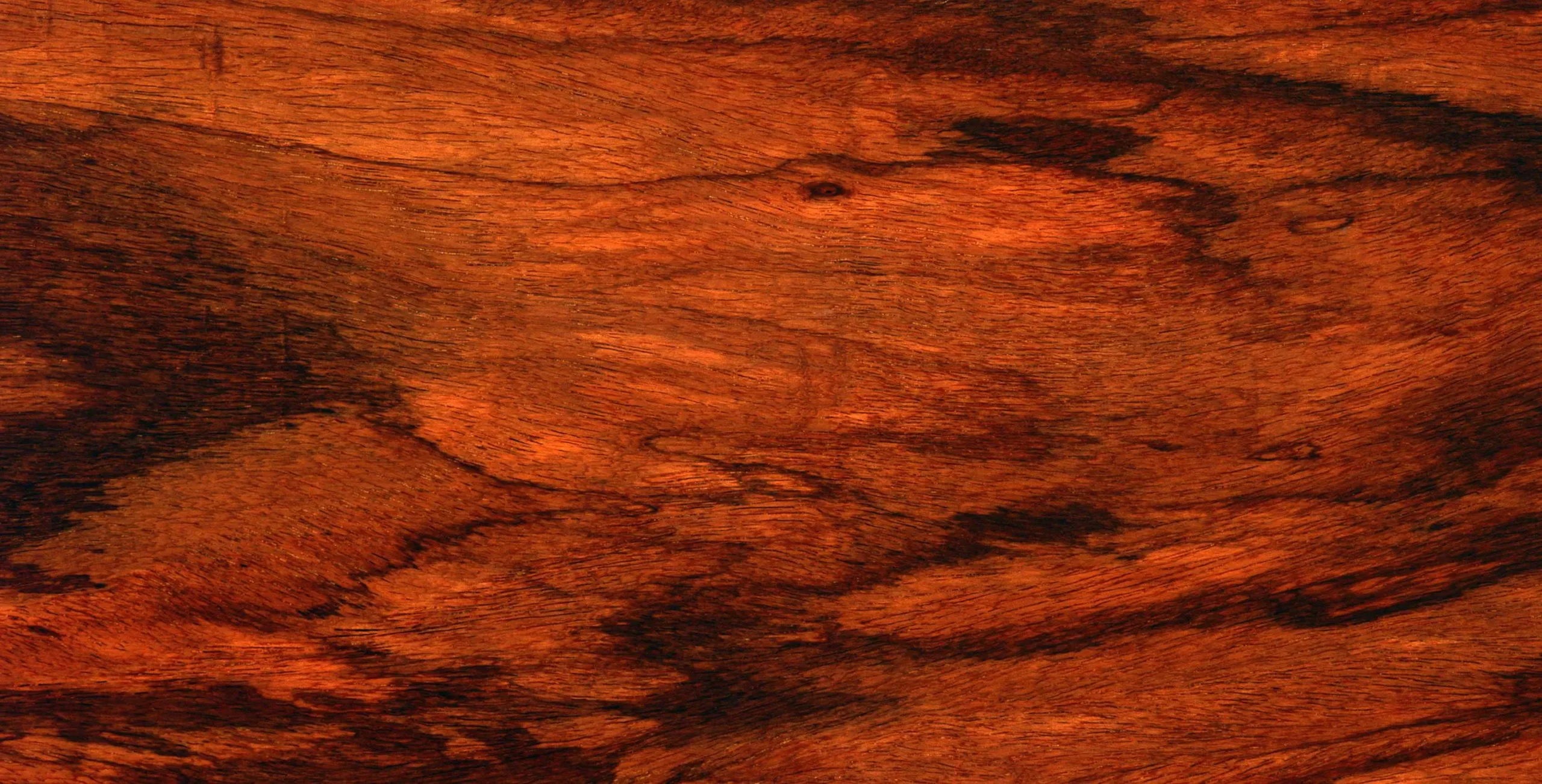 Lưu nháp tự động