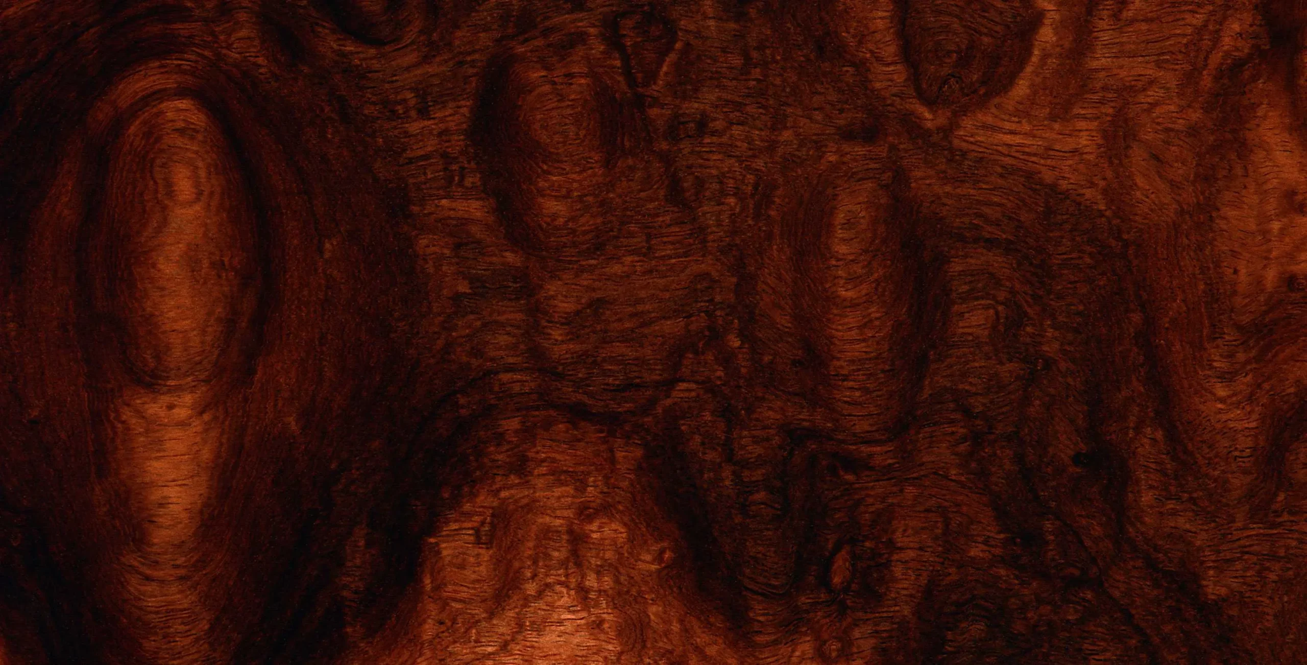 Lưu nháp tự động