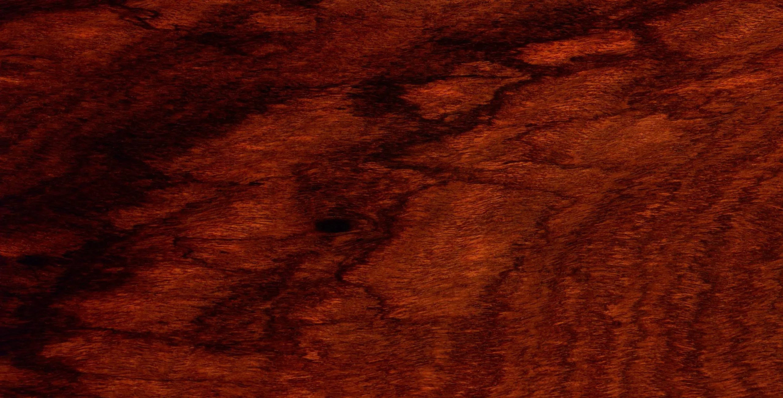 Lưu nháp tự động