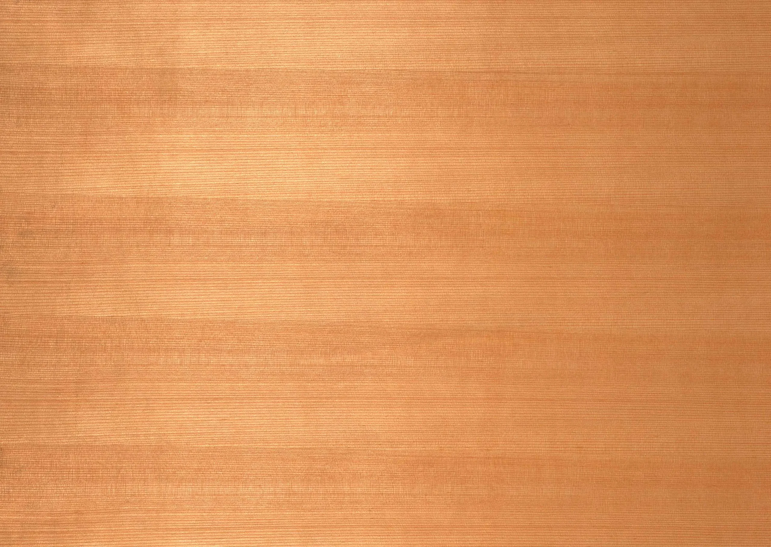 Lưu nháp tự động