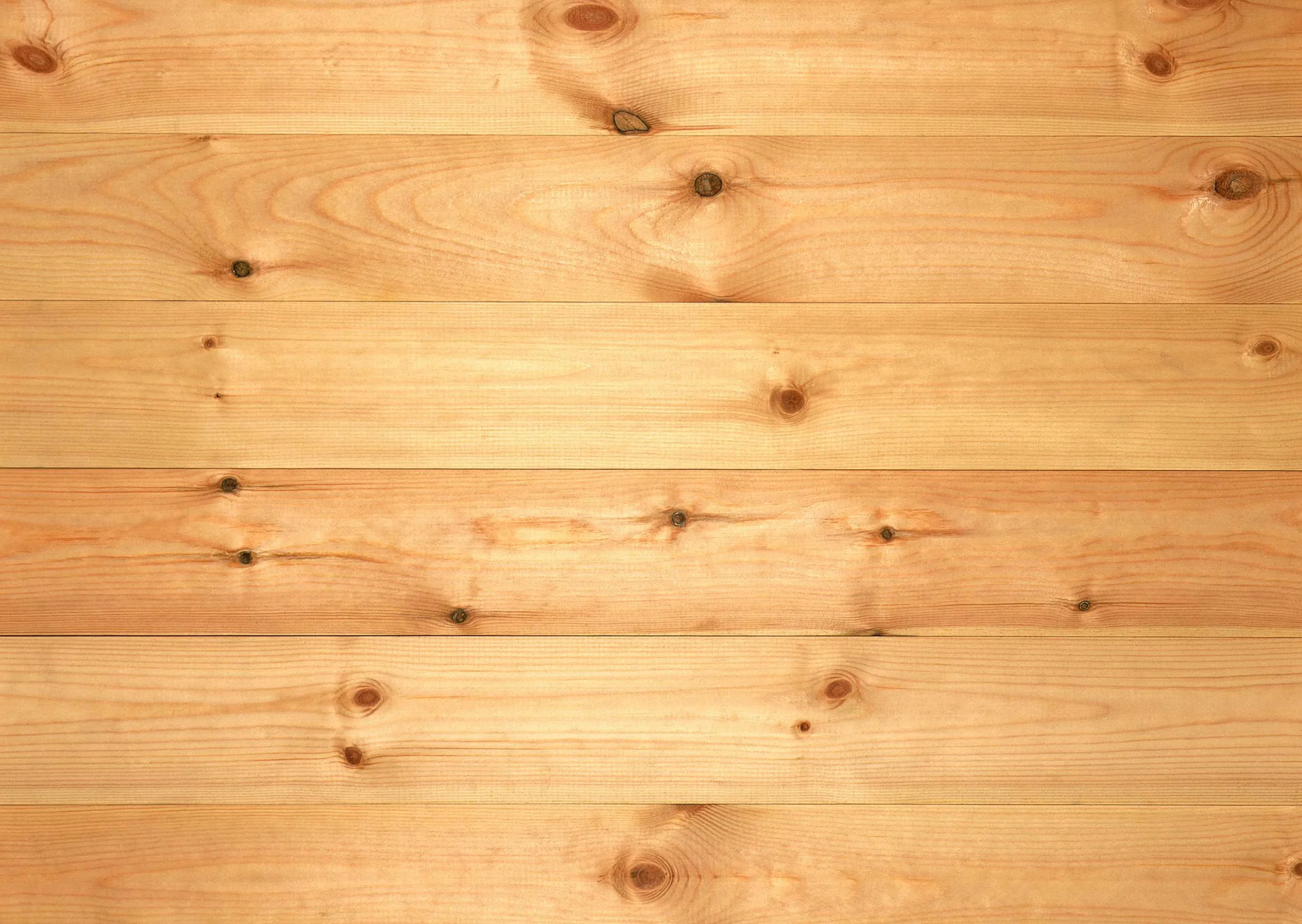 Lưu nháp tự động