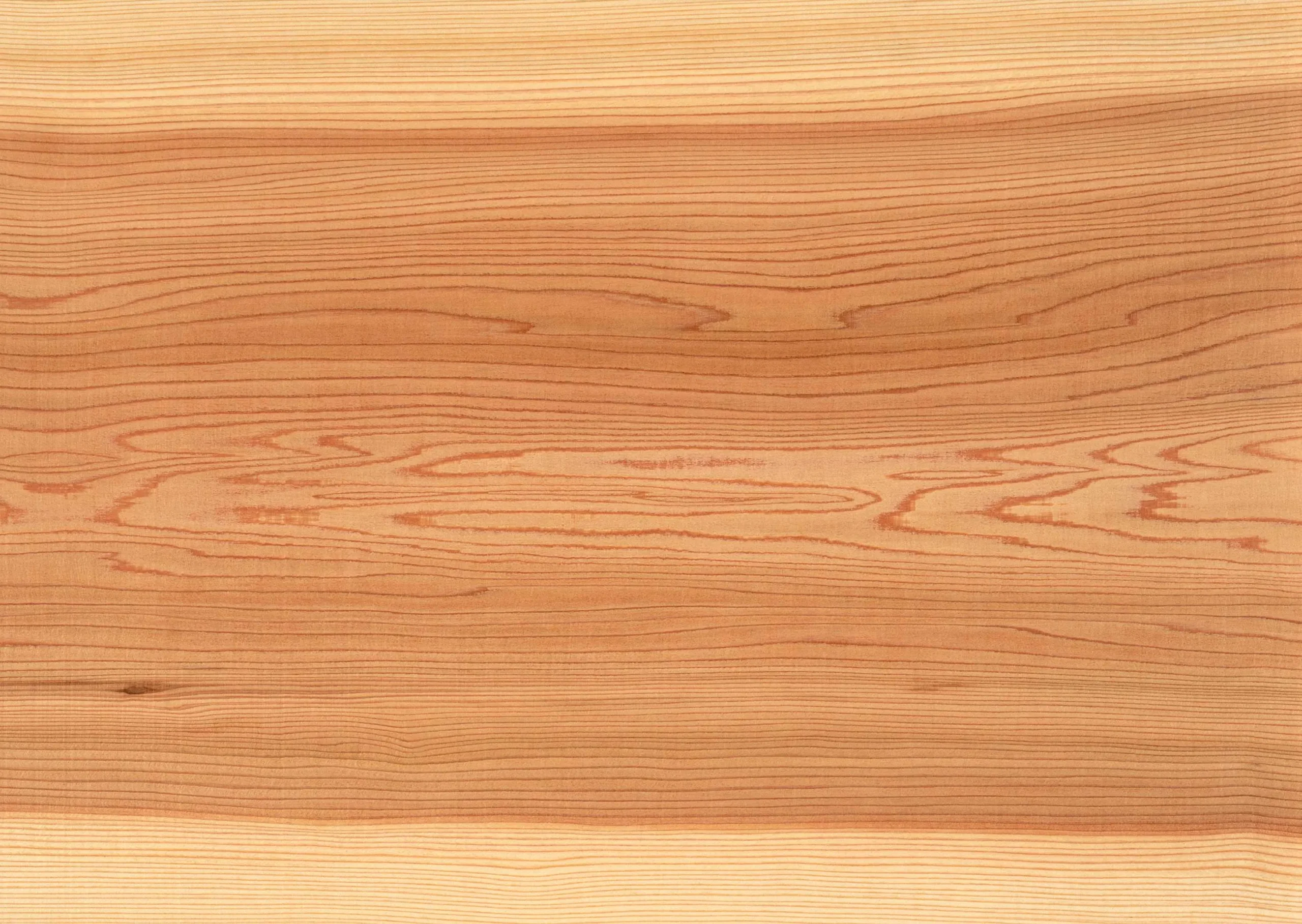 Lưu nháp tự động