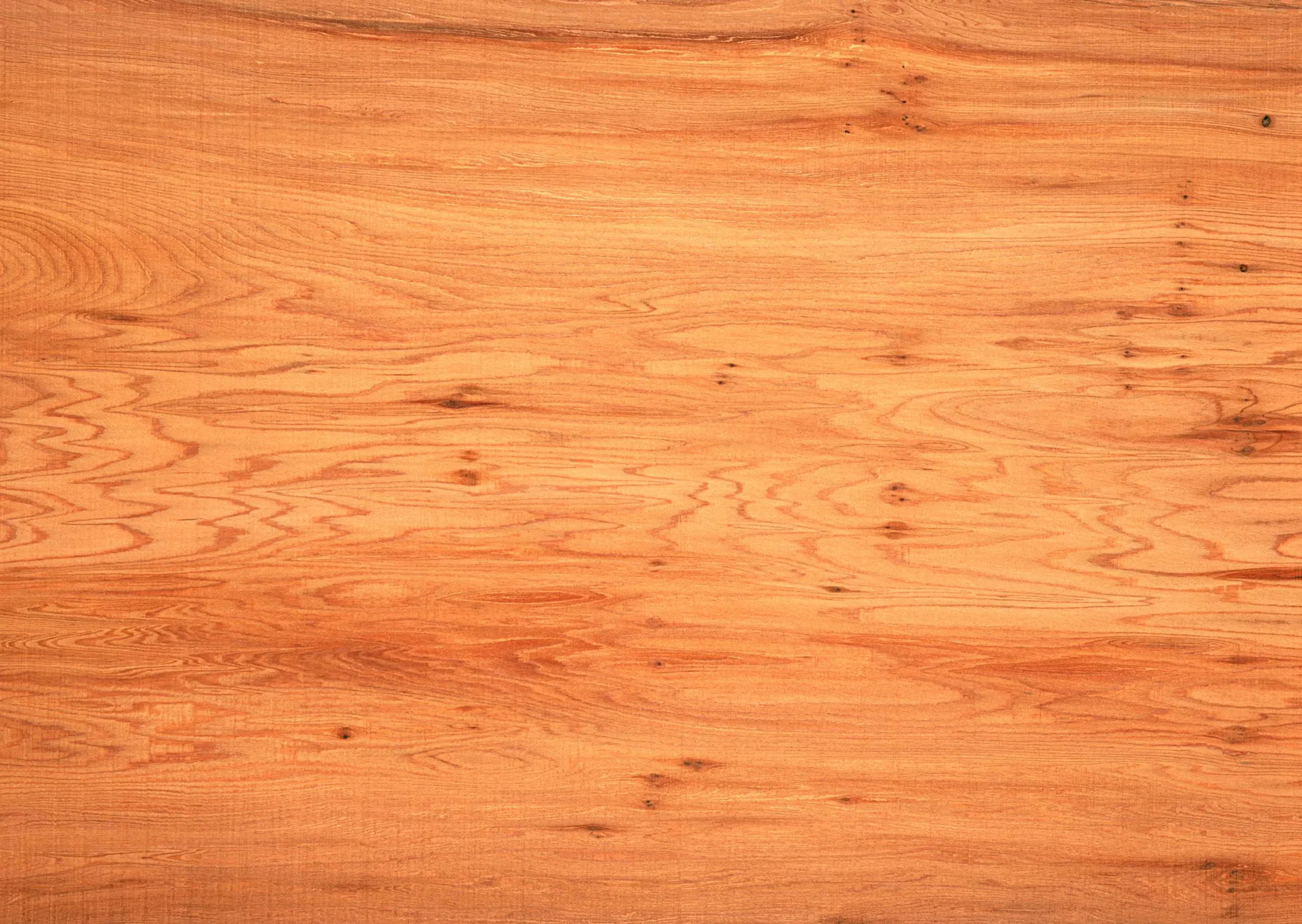 Lưu nháp tự động