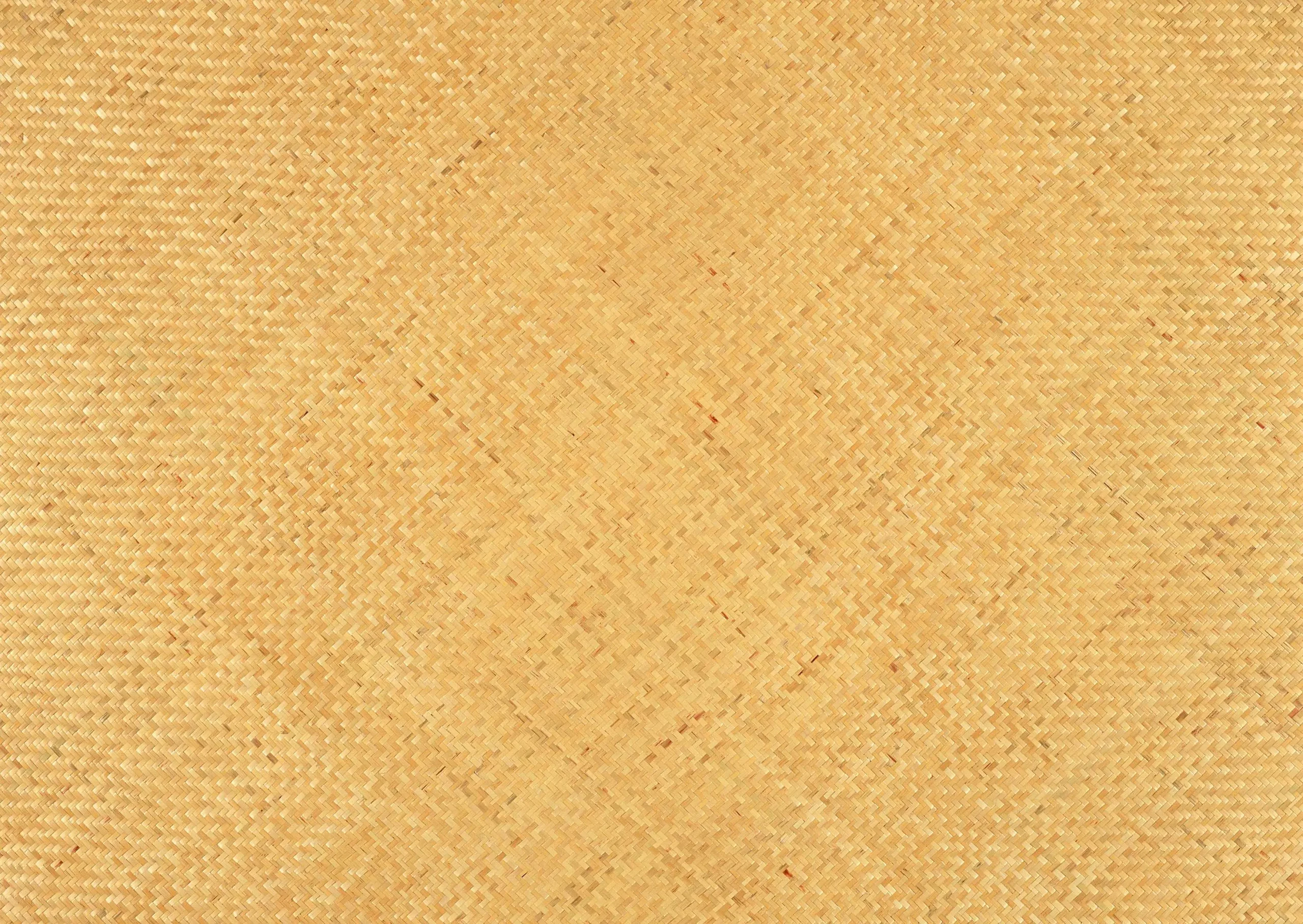 Lưu nháp tự động