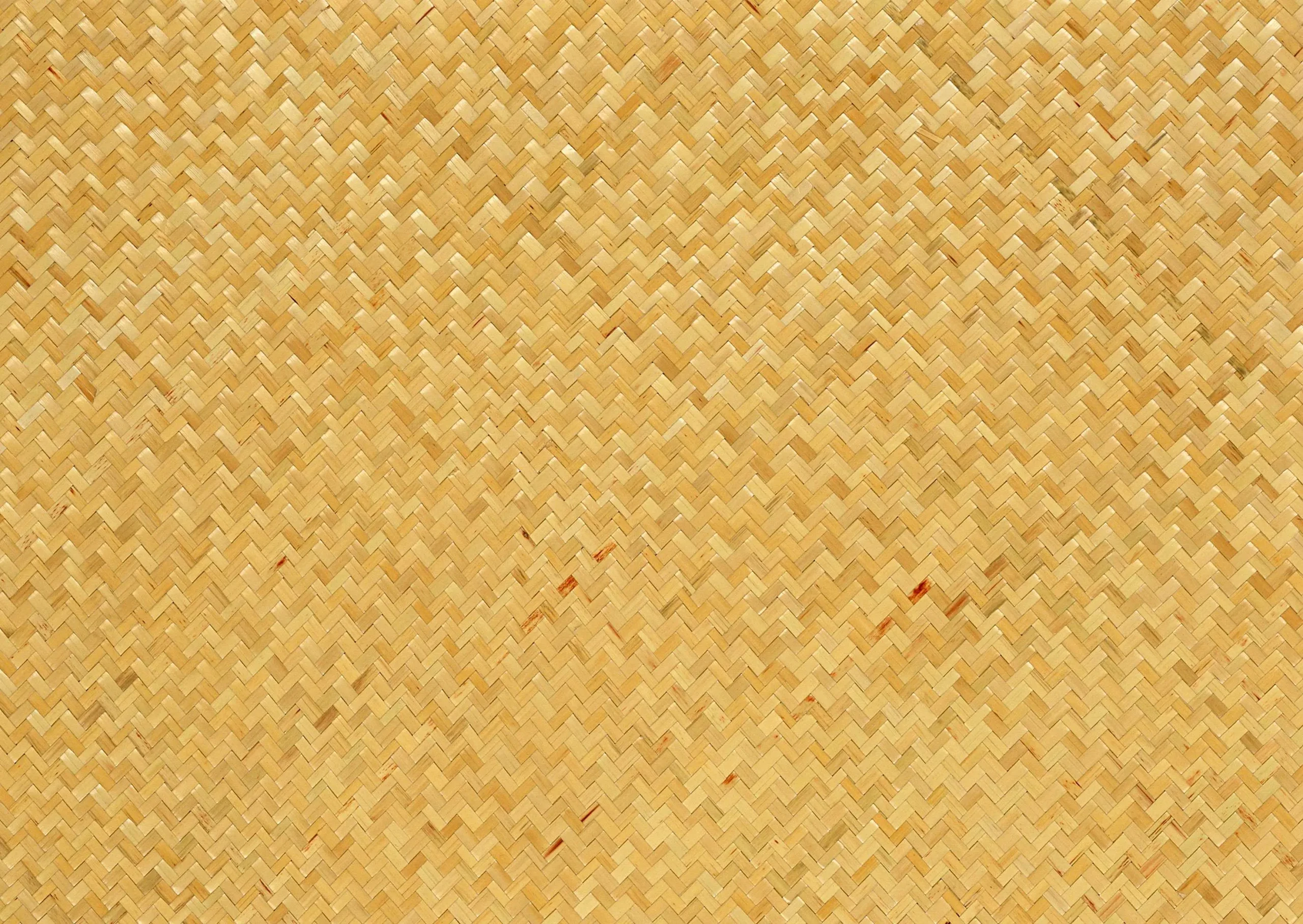 Lưu nháp tự động