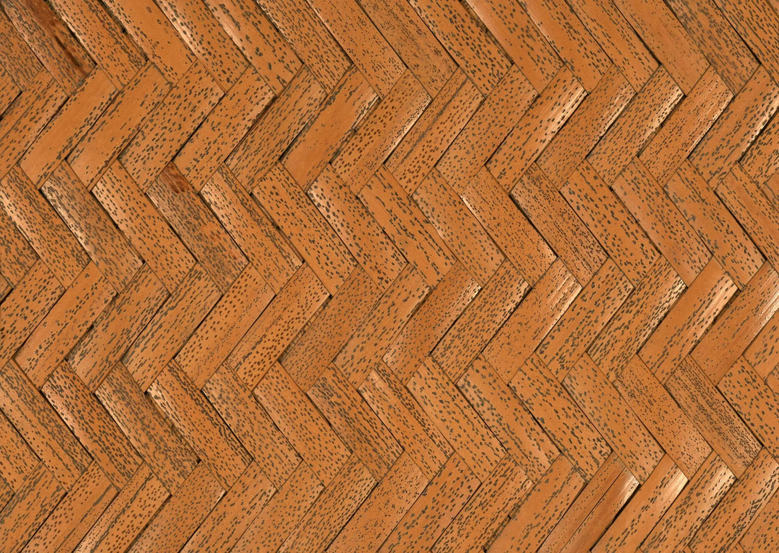 Lưu nháp tự động