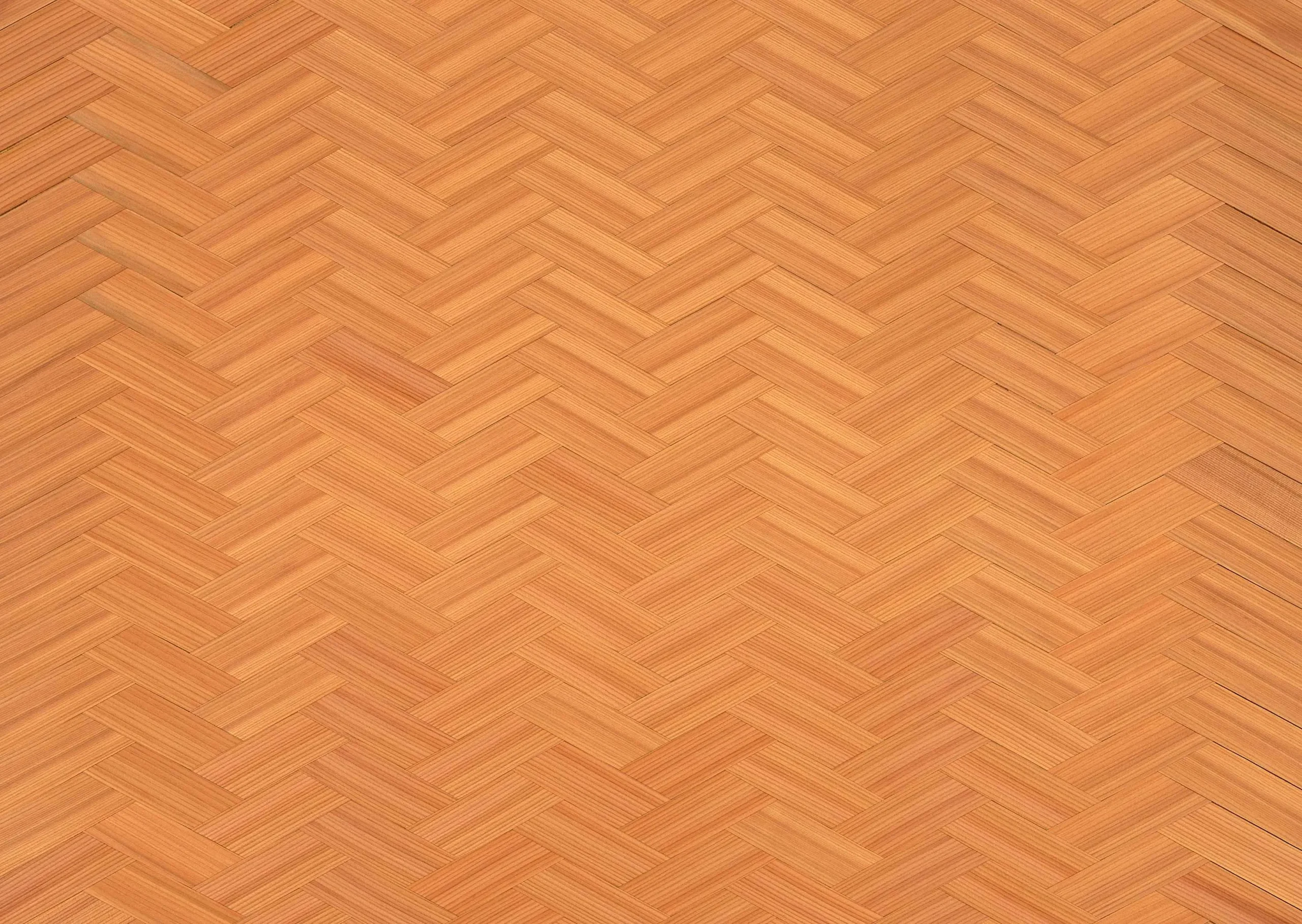 Lưu nháp tự động