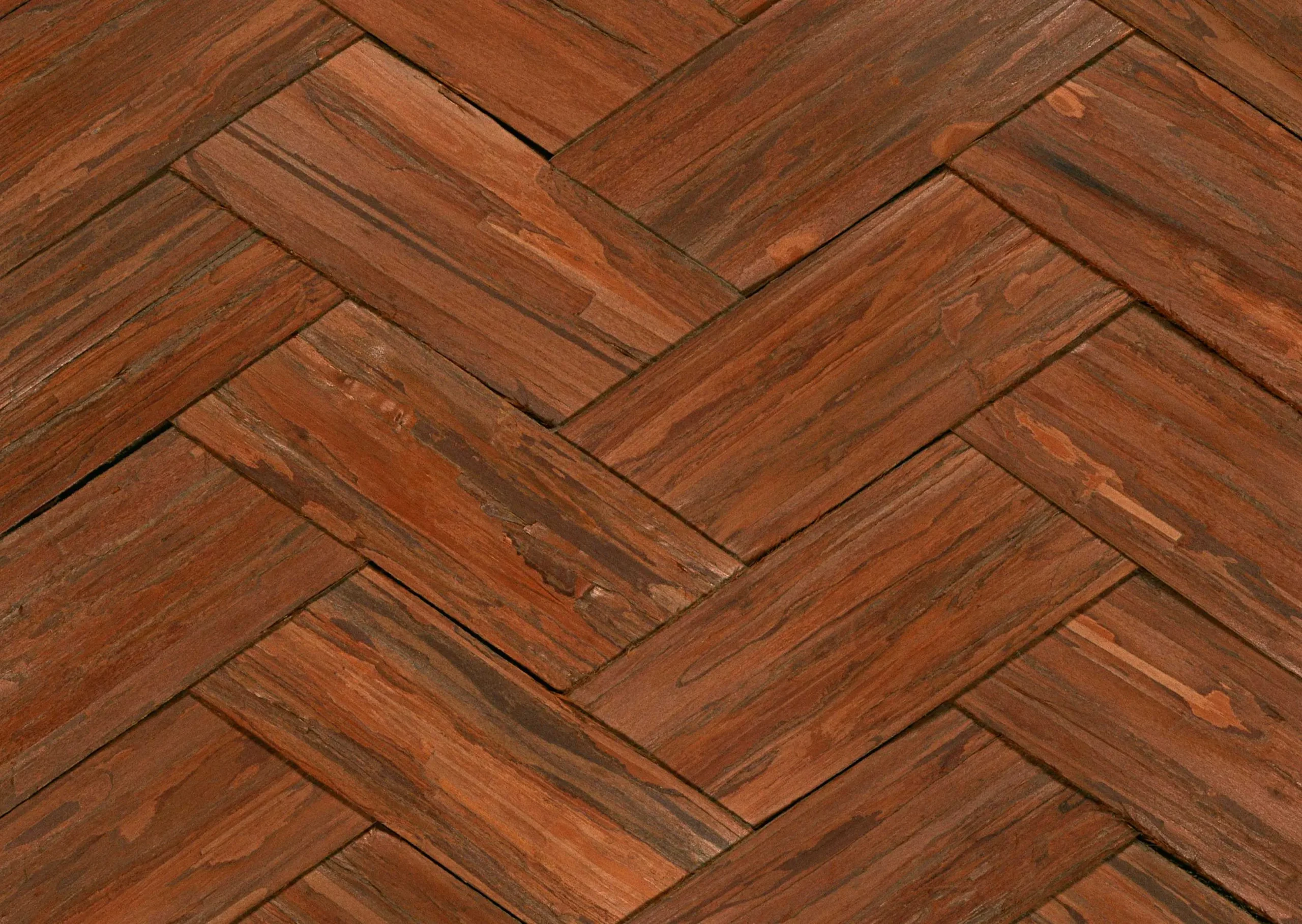 Lưu nháp tự động