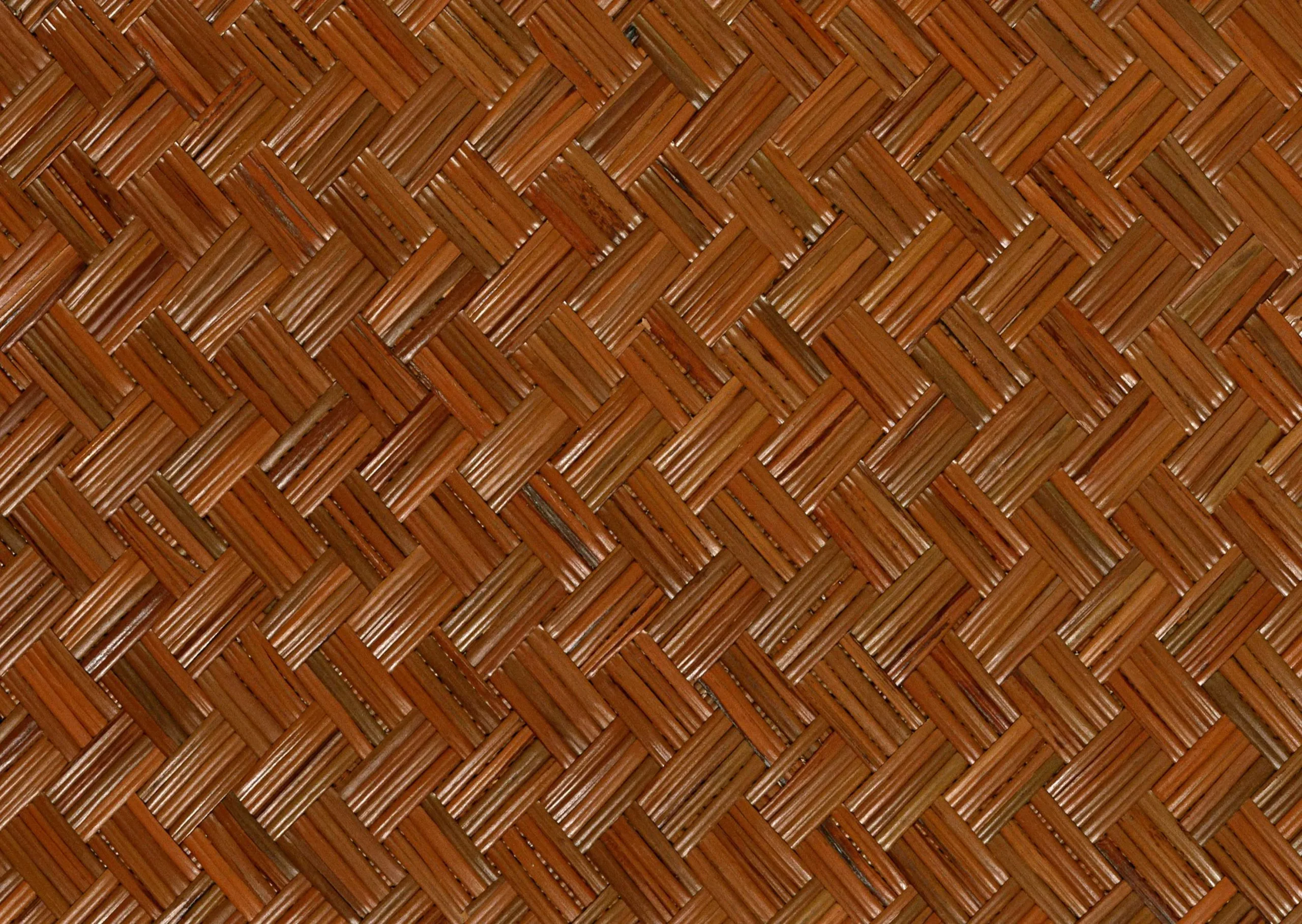 Lưu nháp tự động