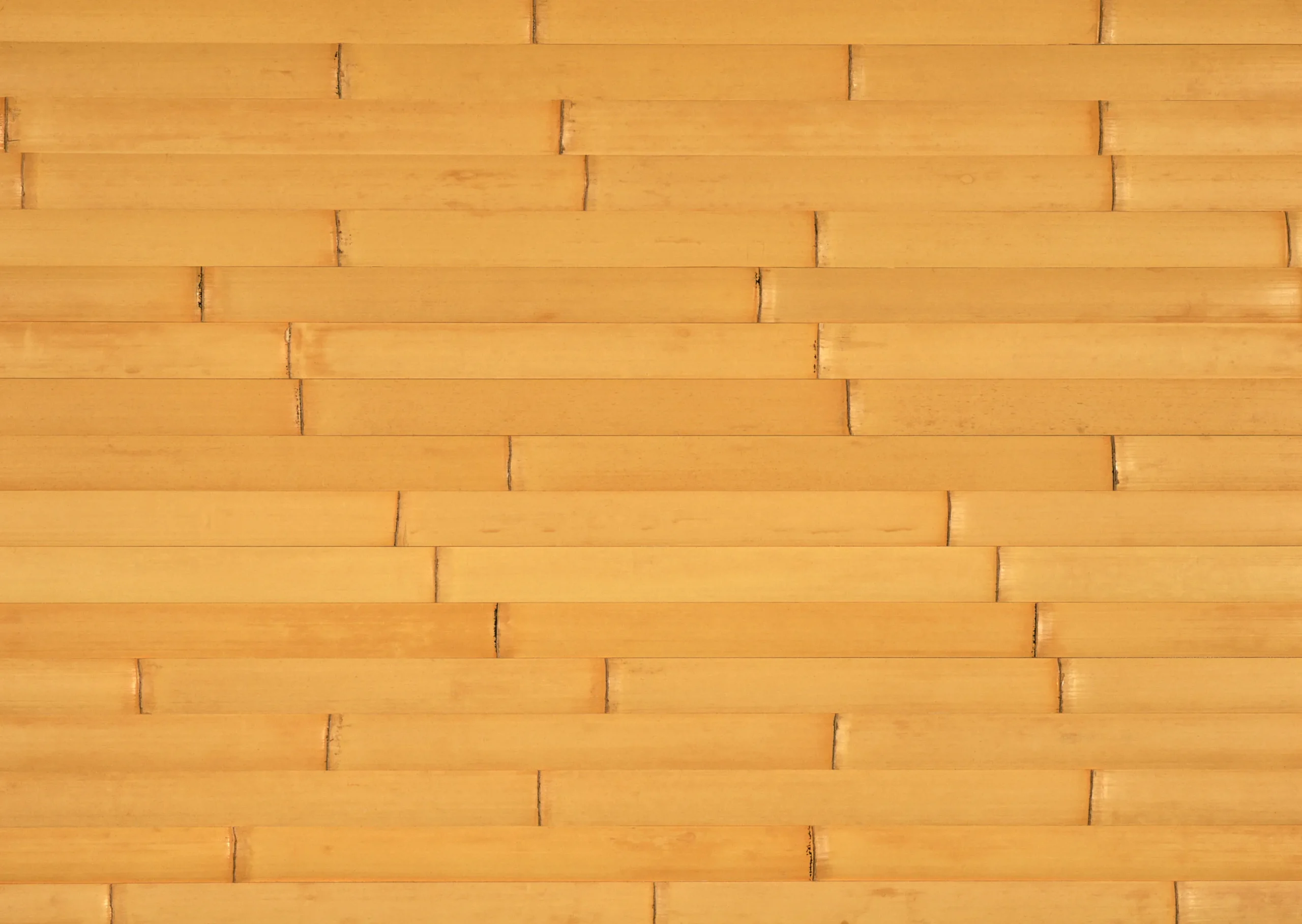 Lưu nháp tự động