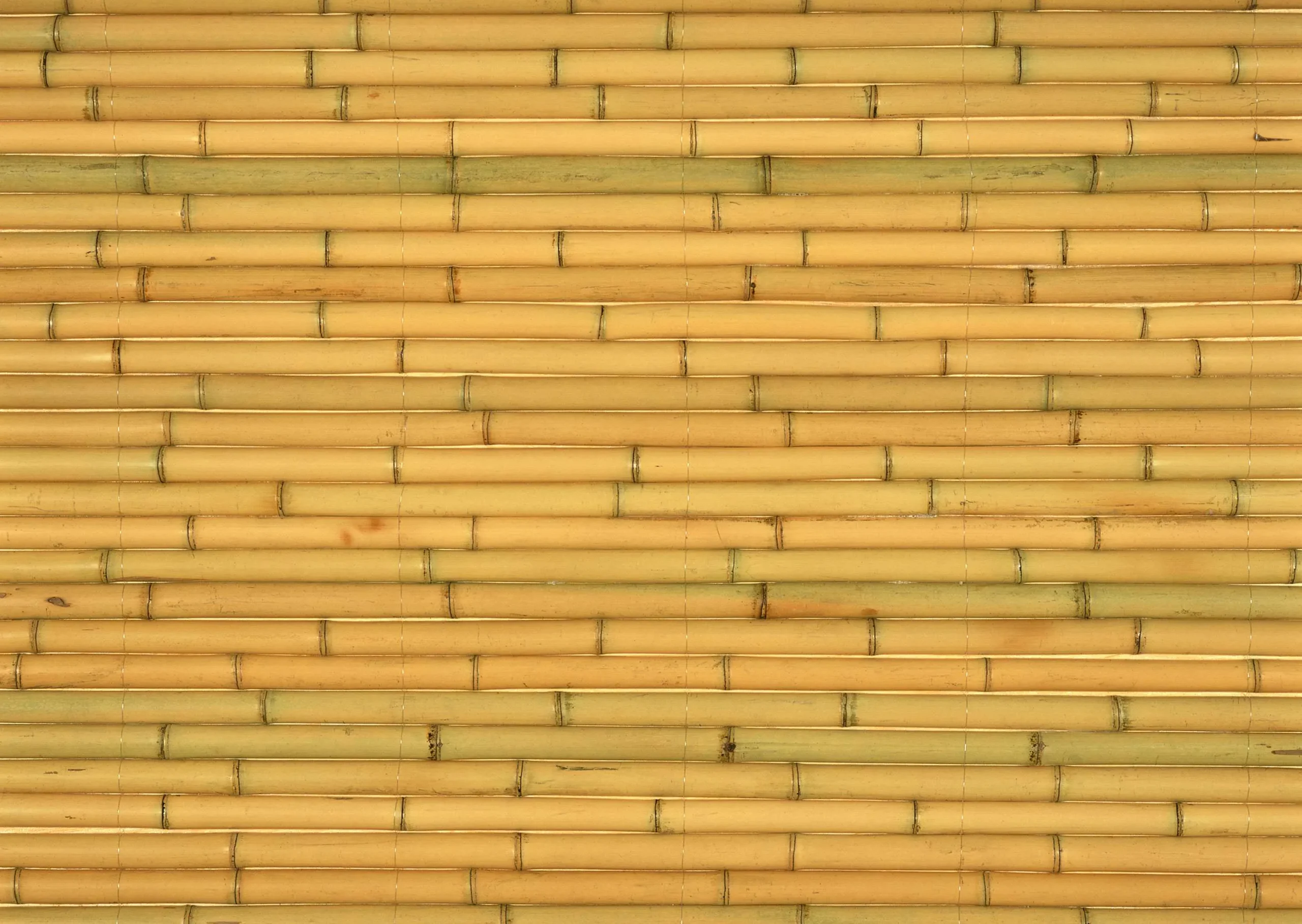 Lưu nháp tự động