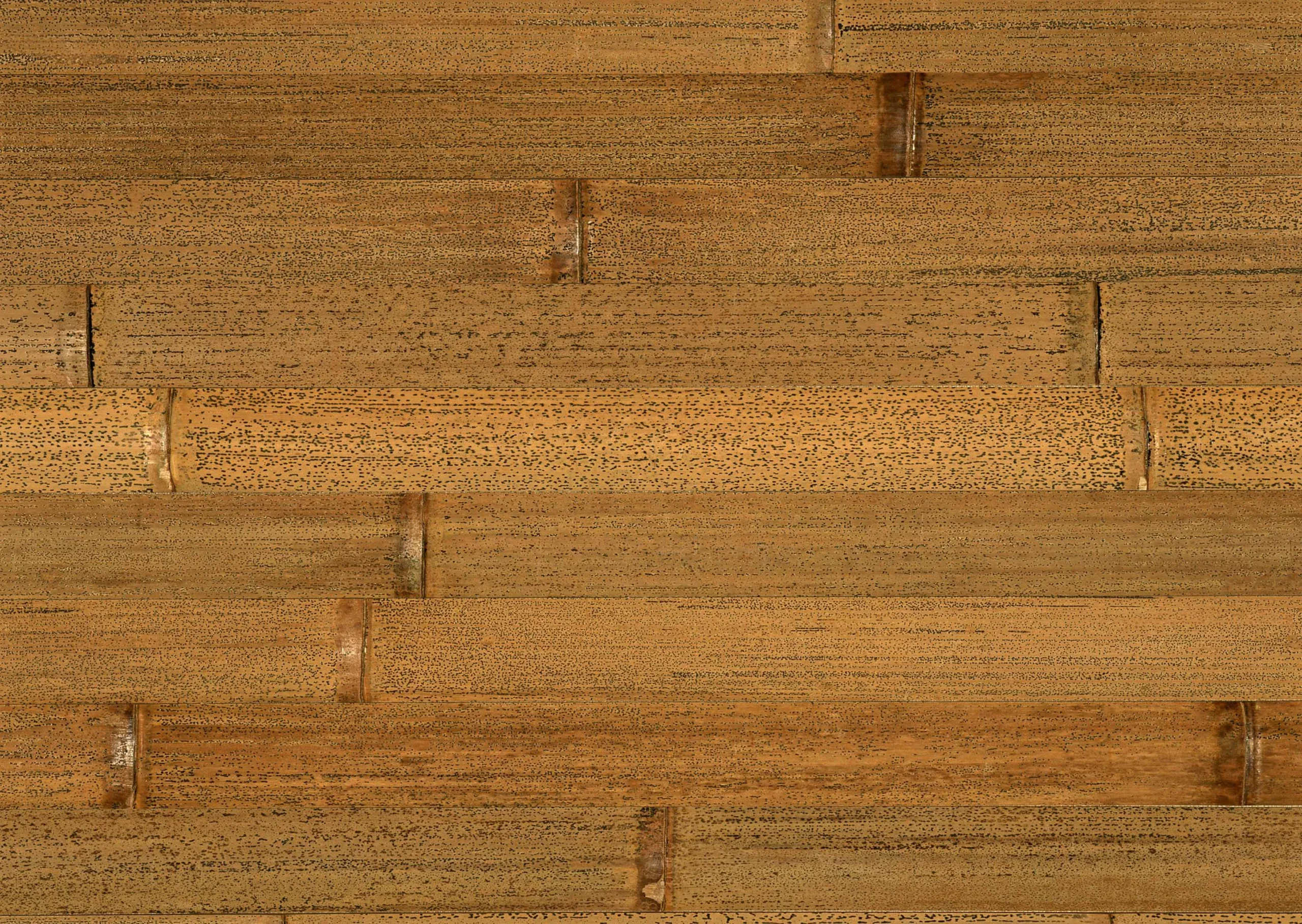 Lưu nháp tự động