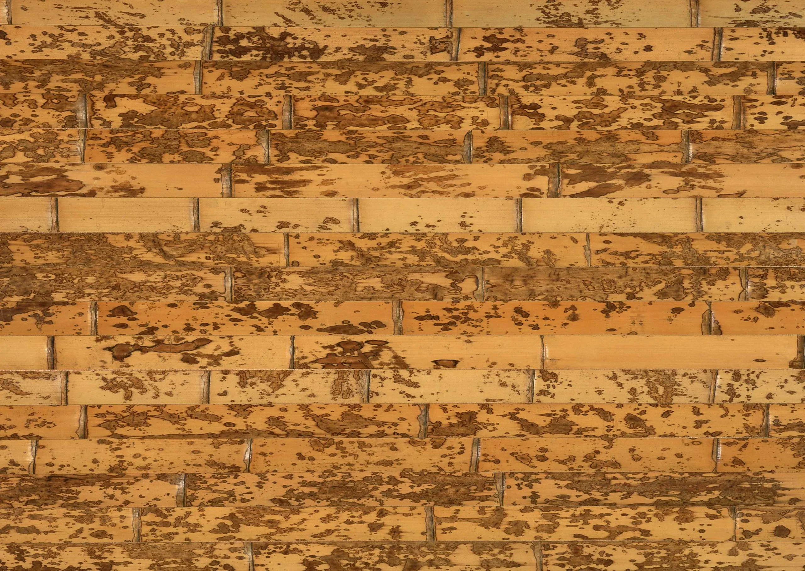 Lưu nháp tự động