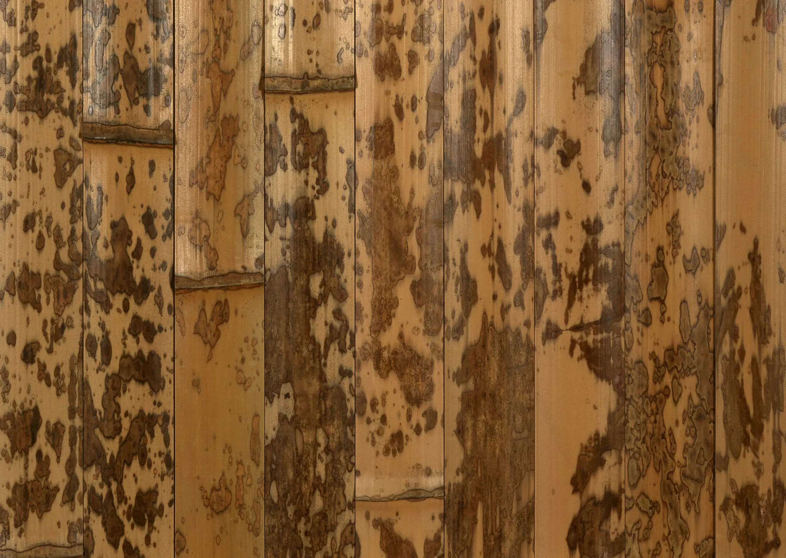 Lưu nháp tự động