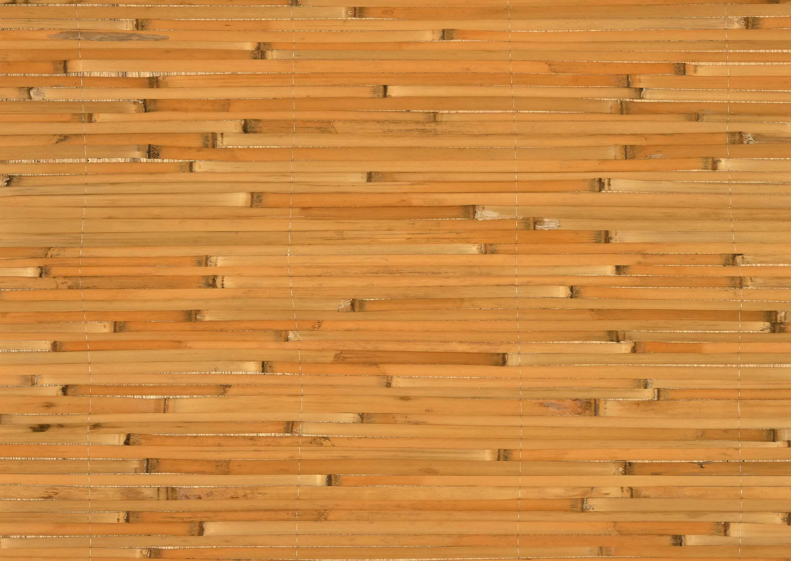 Lưu nháp tự động