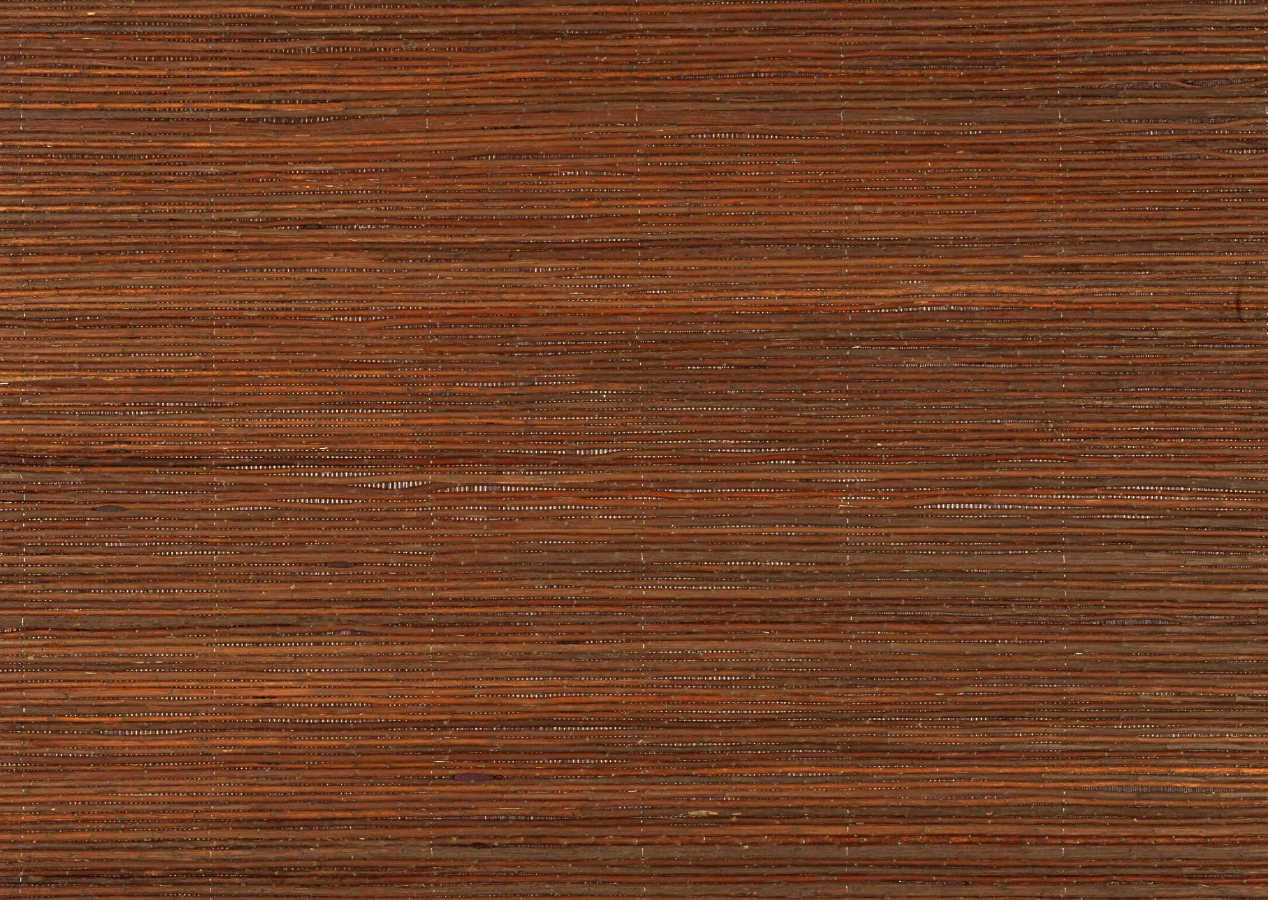 Lưu nháp tự động