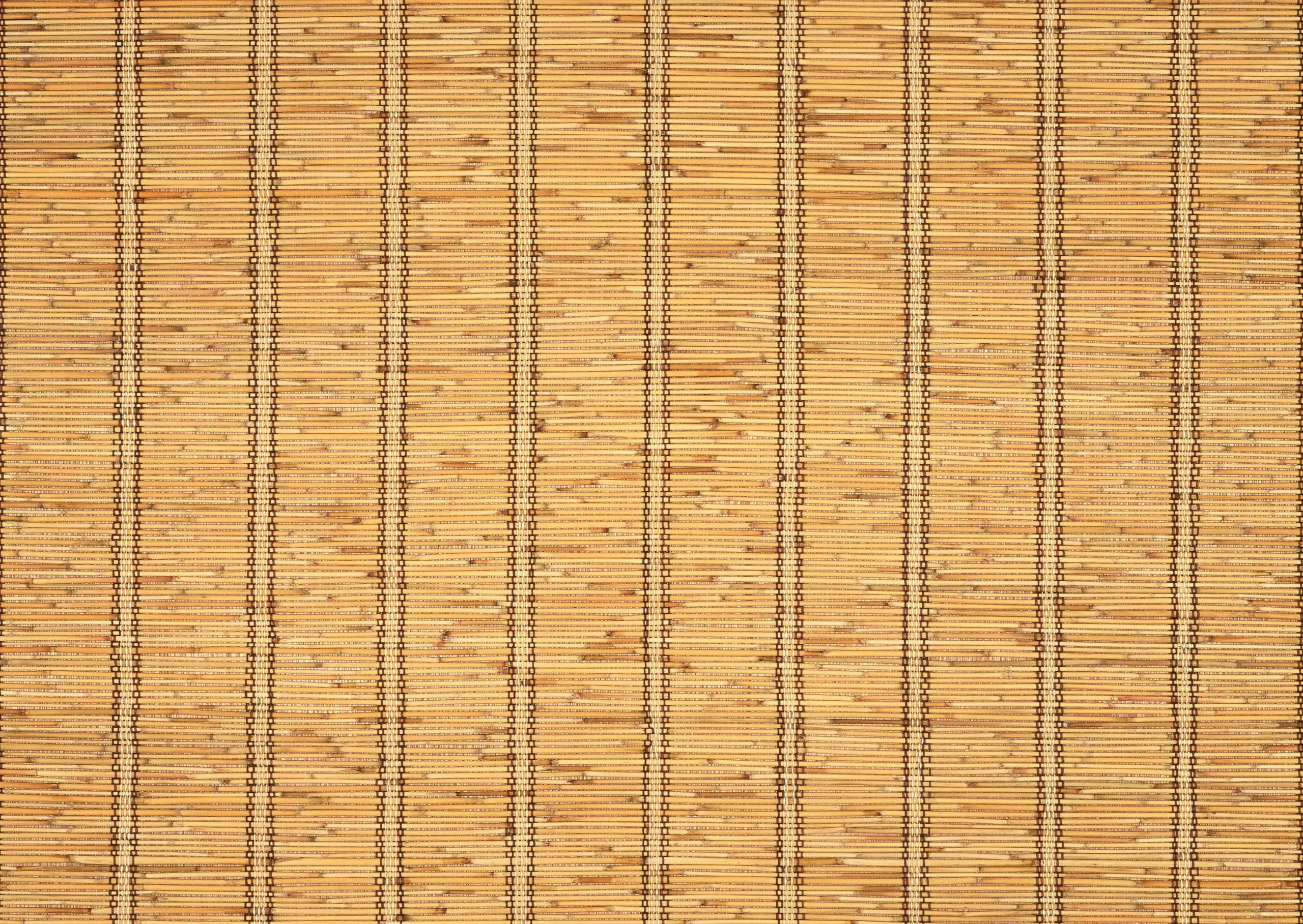 Lưu nháp tự động