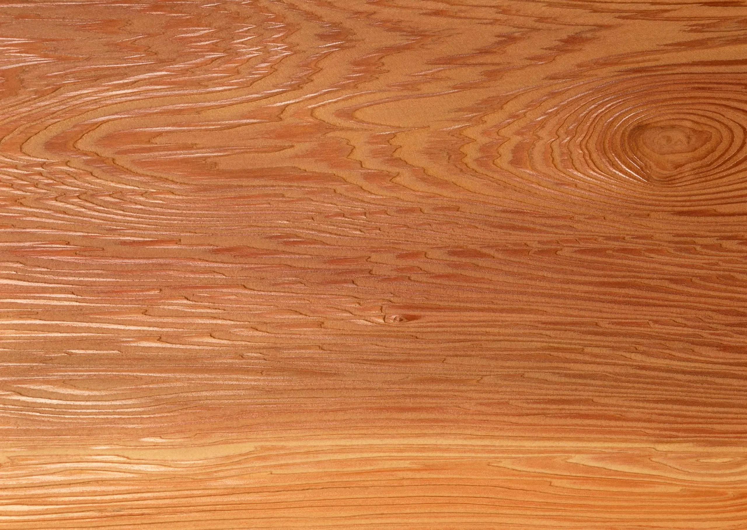 Lưu nháp tự động