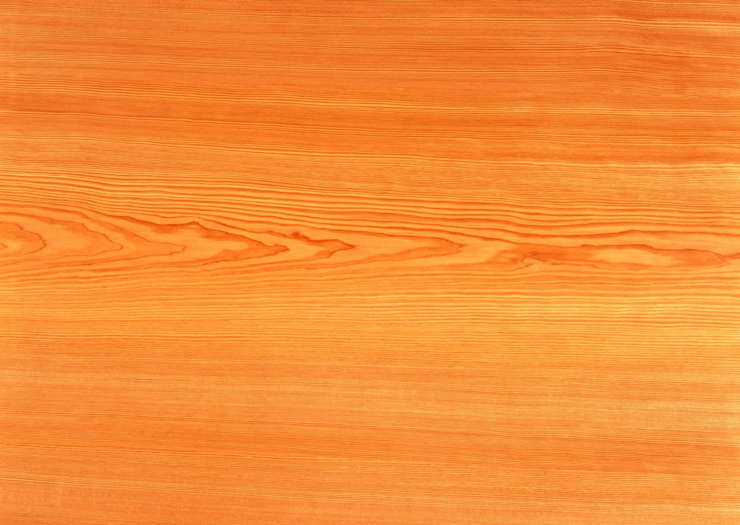 Lưu nháp tự động