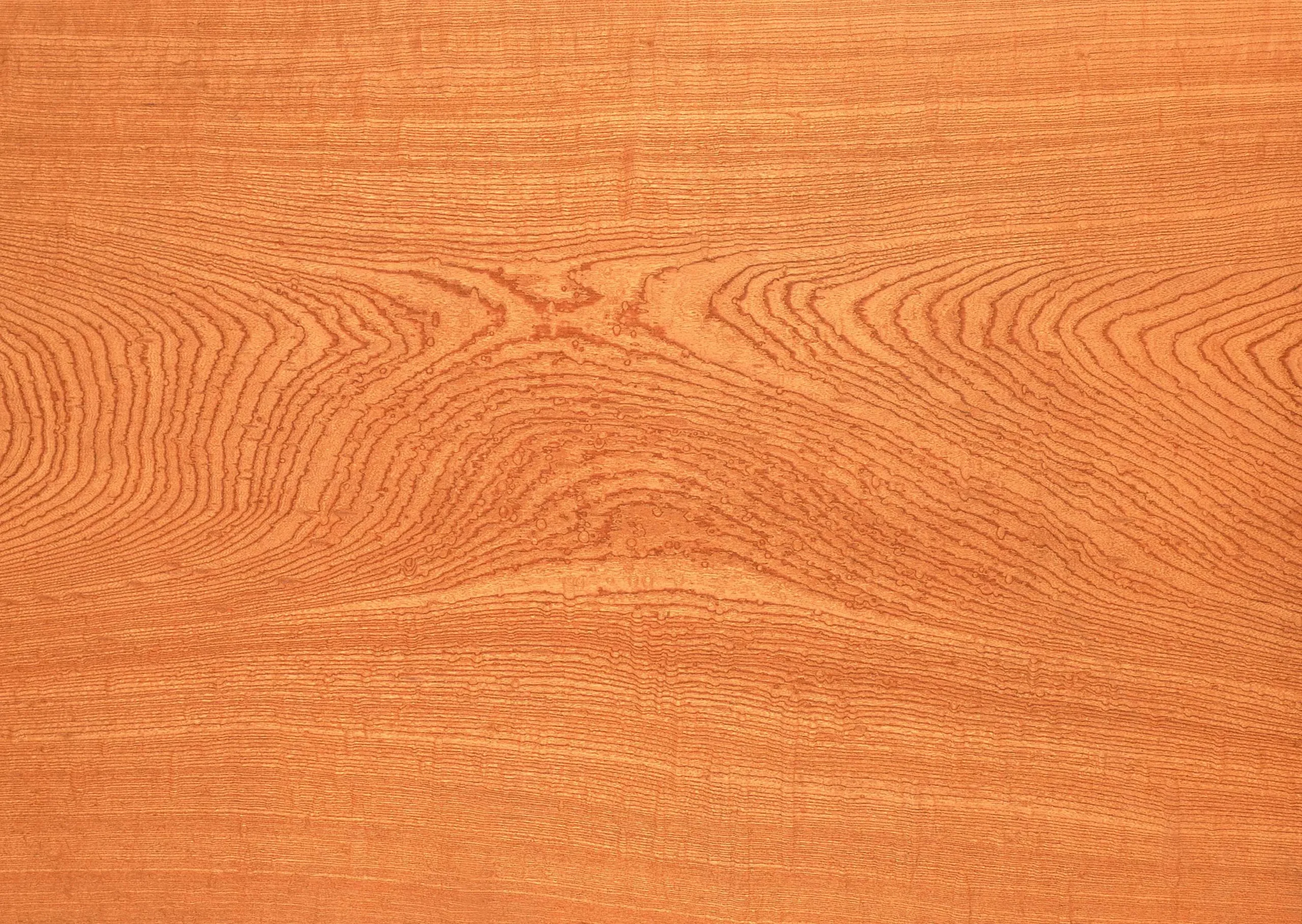 Lưu nháp tự động