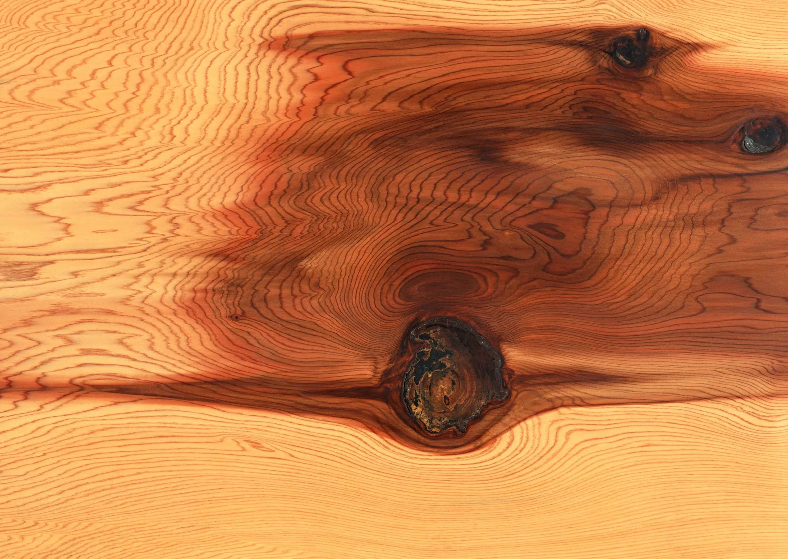 Lưu nháp tự động