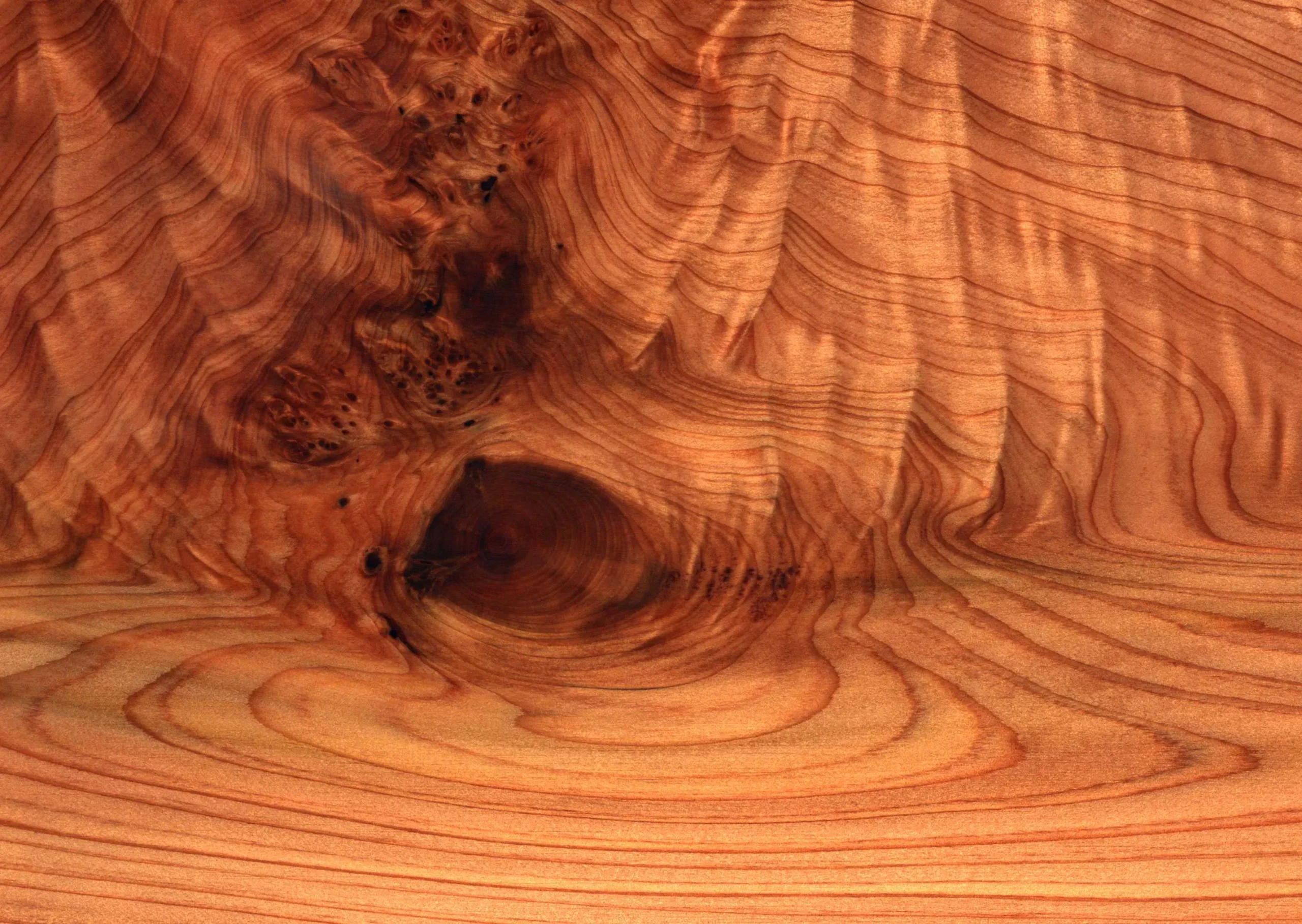 Lưu nháp tự động