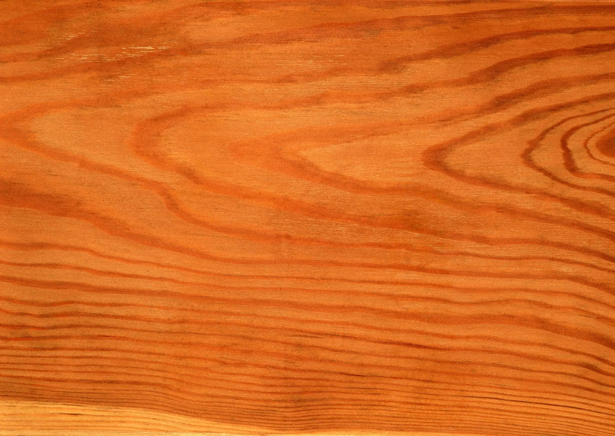 Lưu nháp tự động