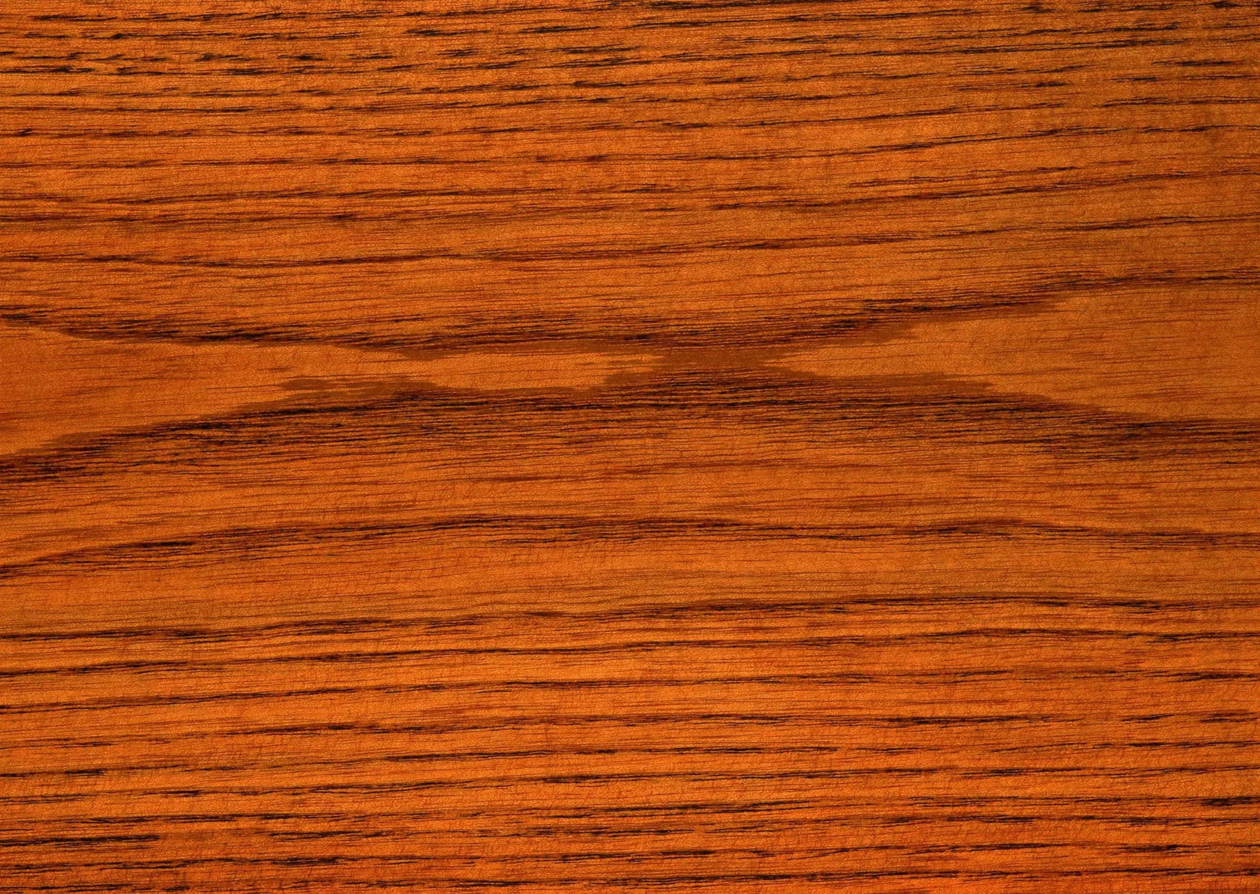 Lưu nháp tự động