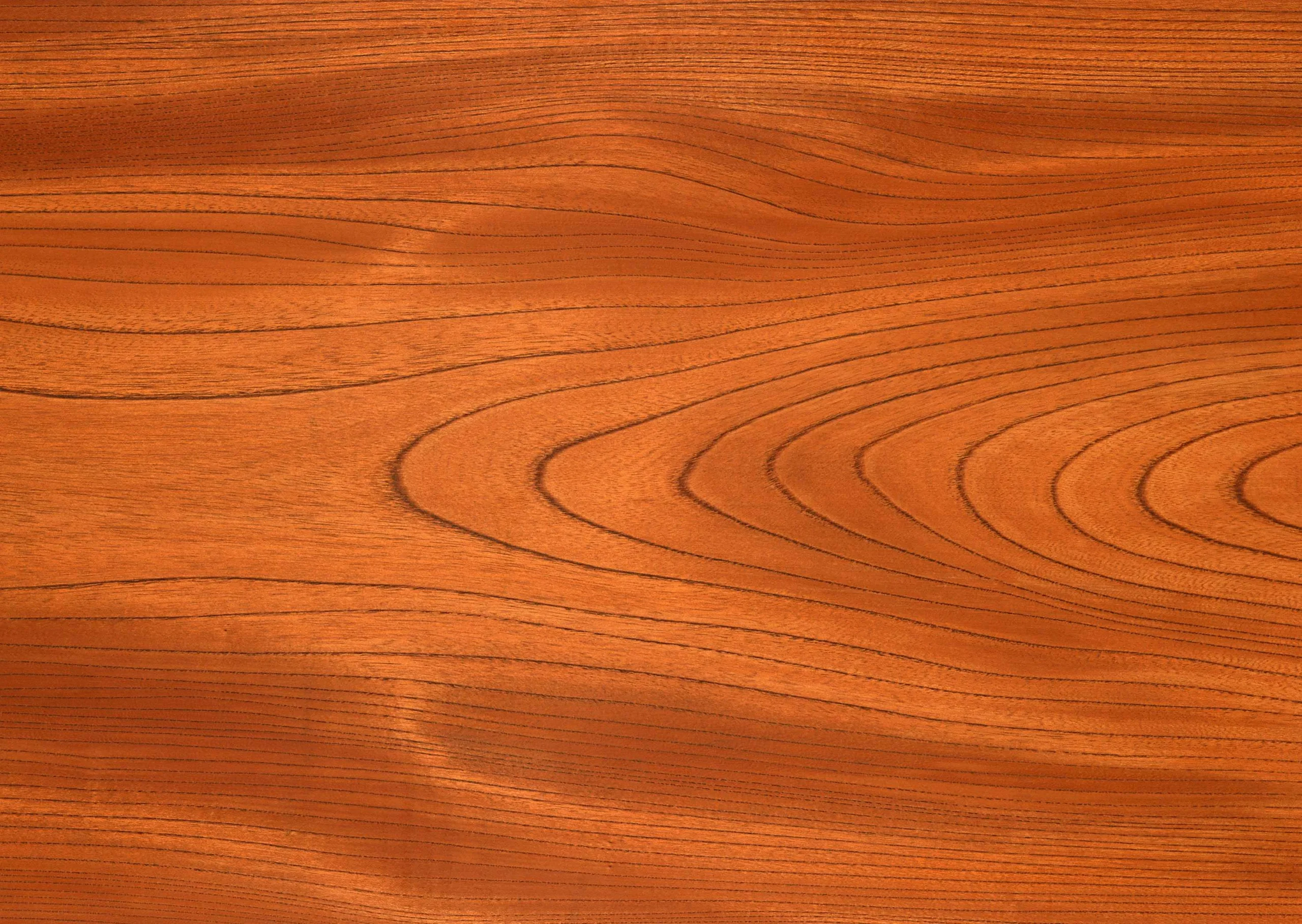 Lưu nháp tự động